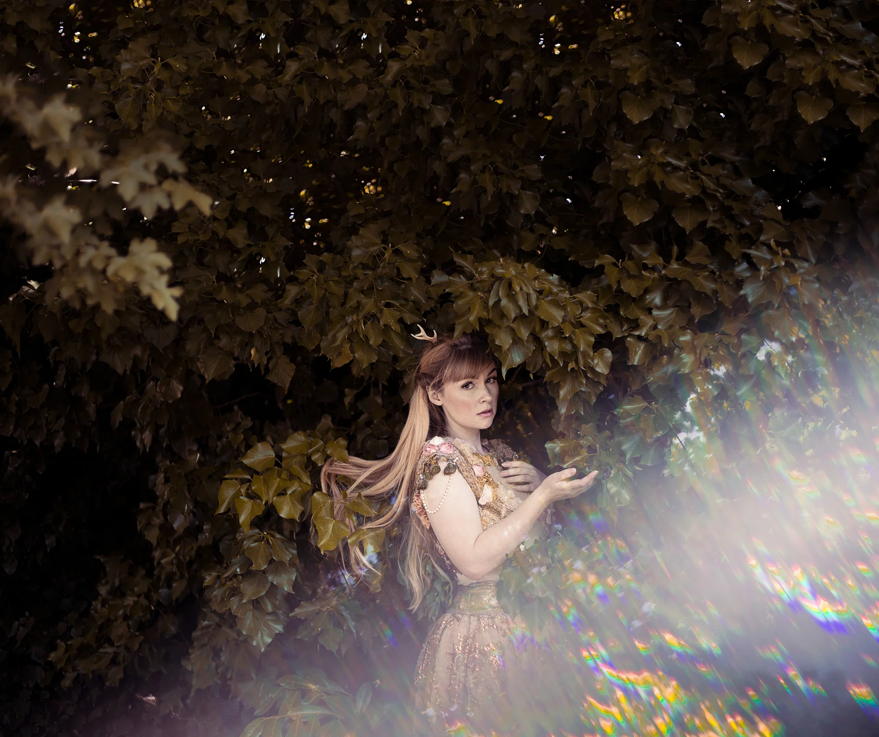 golden-fawnweb.jpg