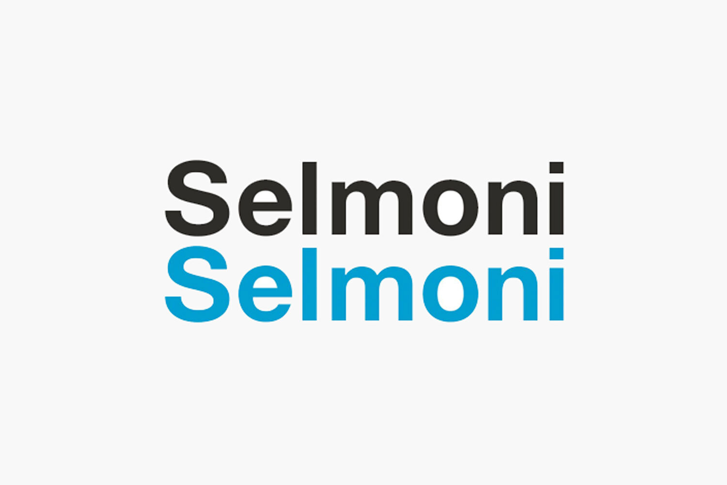 Linkedin Workshop für Selmoni