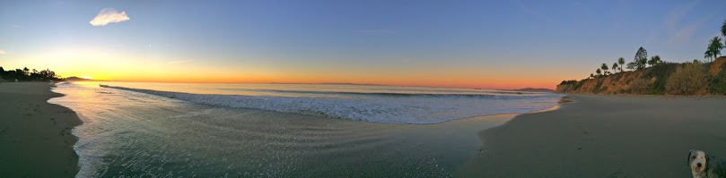 BEACH WALKS - 04.jpg