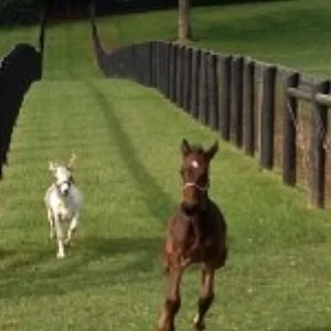 Mr. Wilson and Dennis, in happier days.