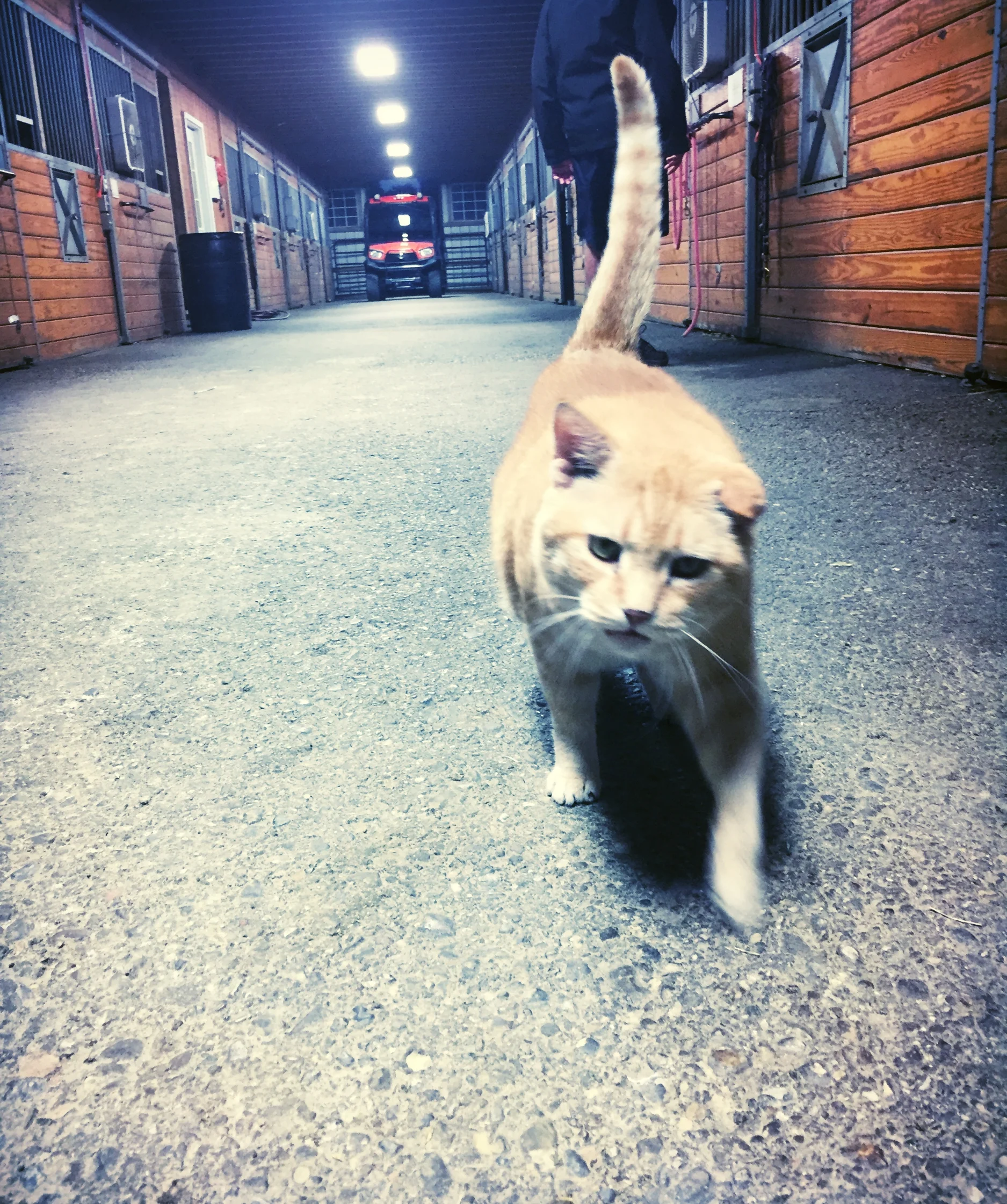 Don't grab this pussy.