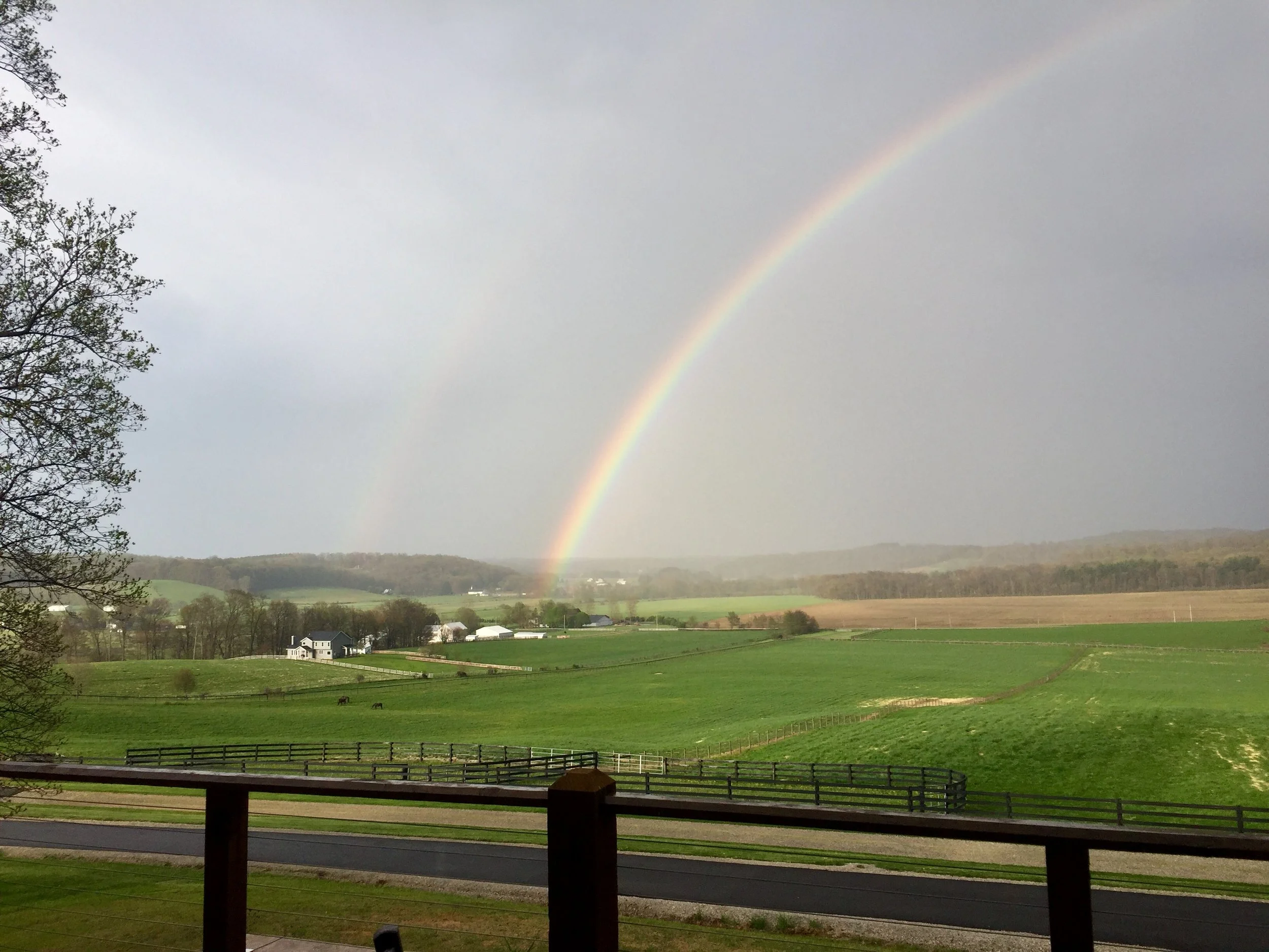Springtime rainbow