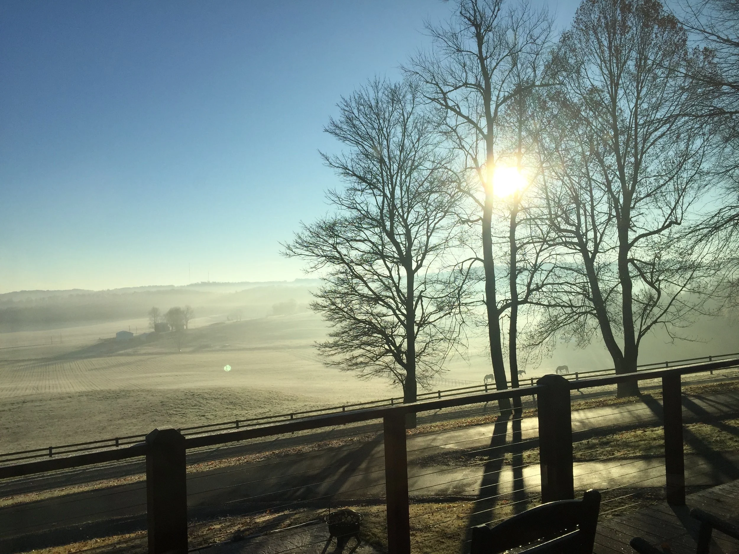 IMG_7313.jpeg