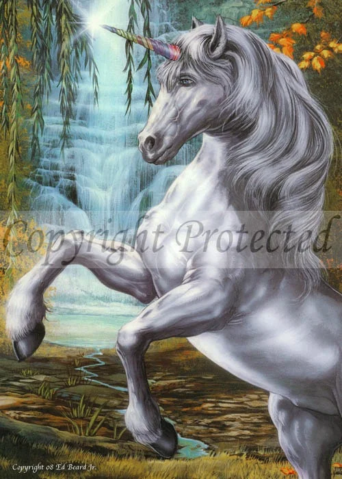 unicorn.jpg