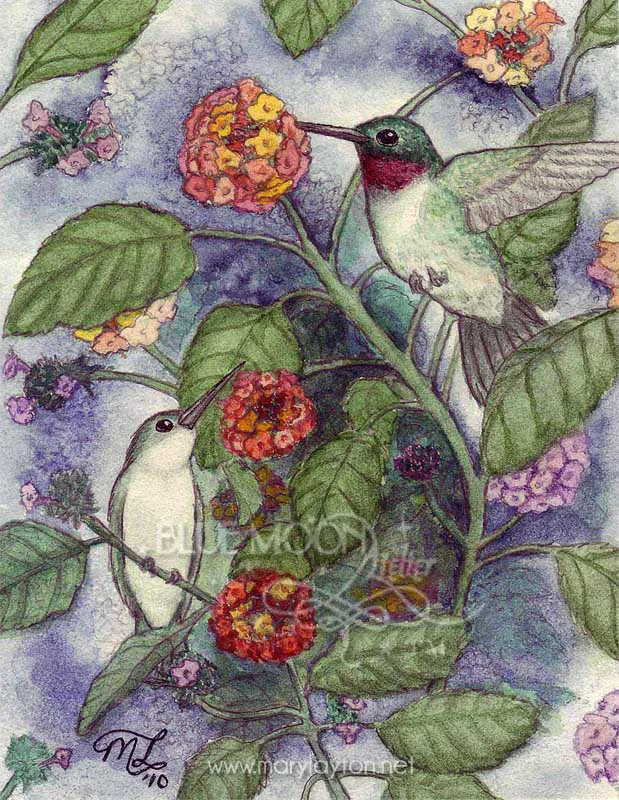 ruby-throated-hummingbirds.jpg
