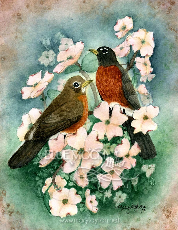 american-robins.jpg
