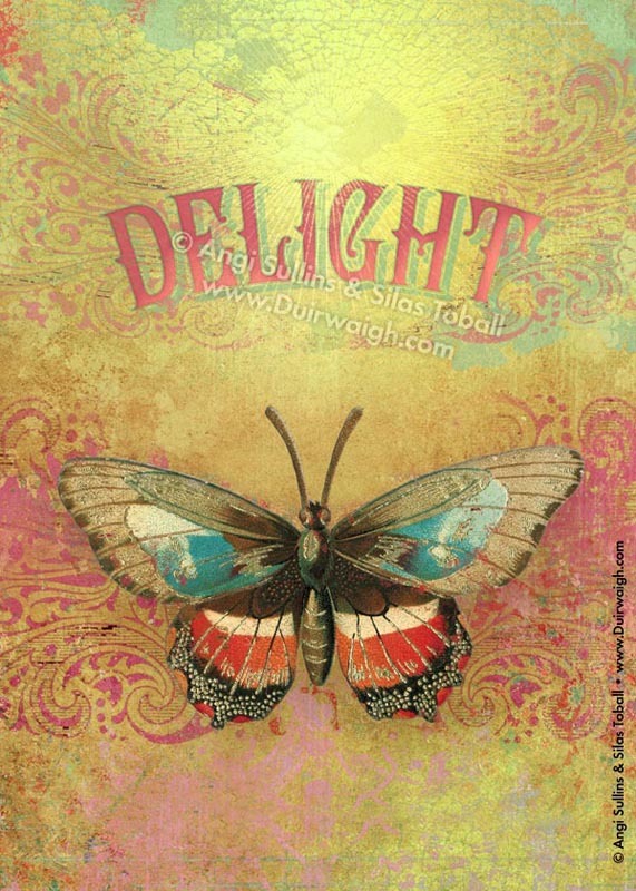 delight_w.jpg