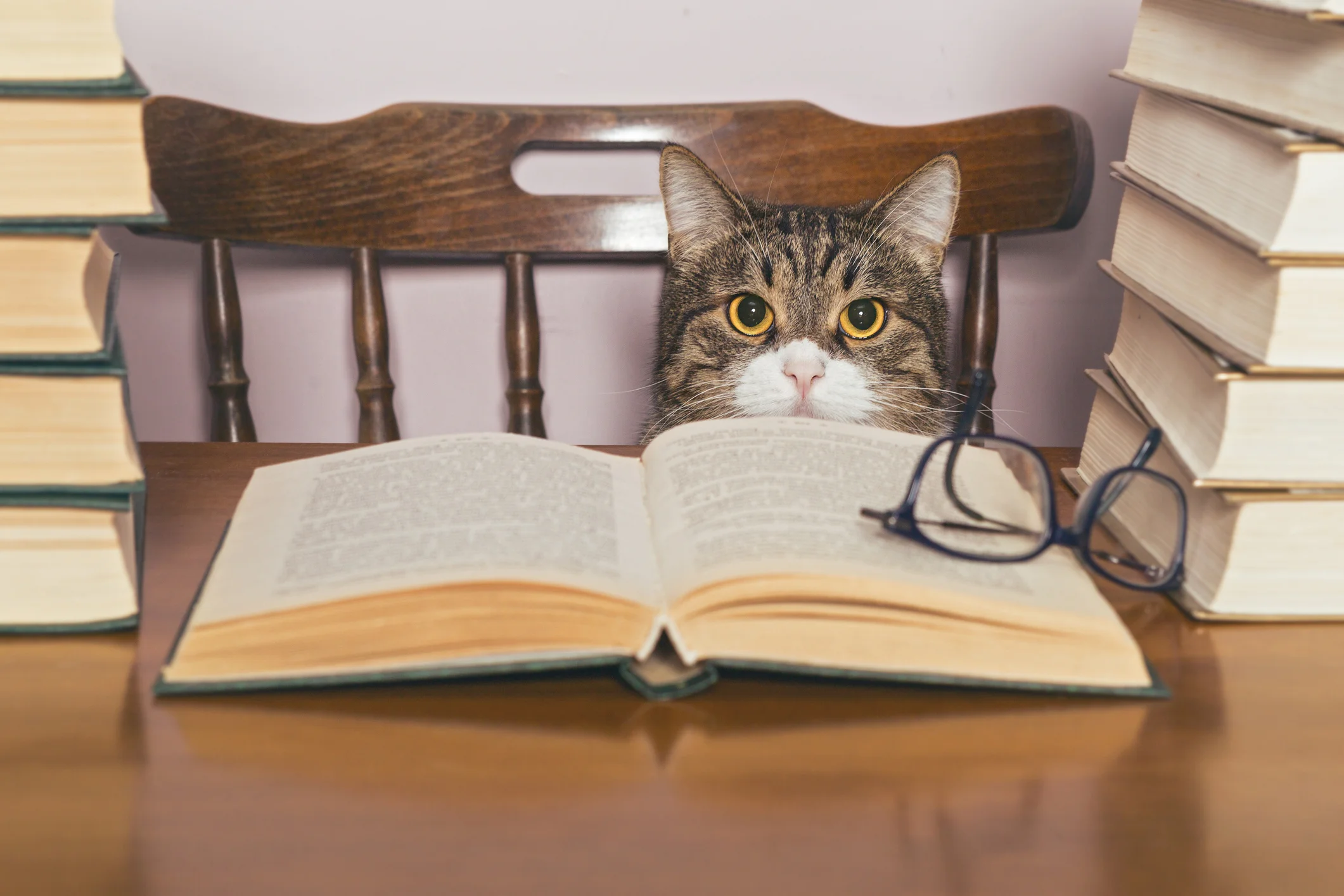 Photo by Okssi68/iStock / Getty Images