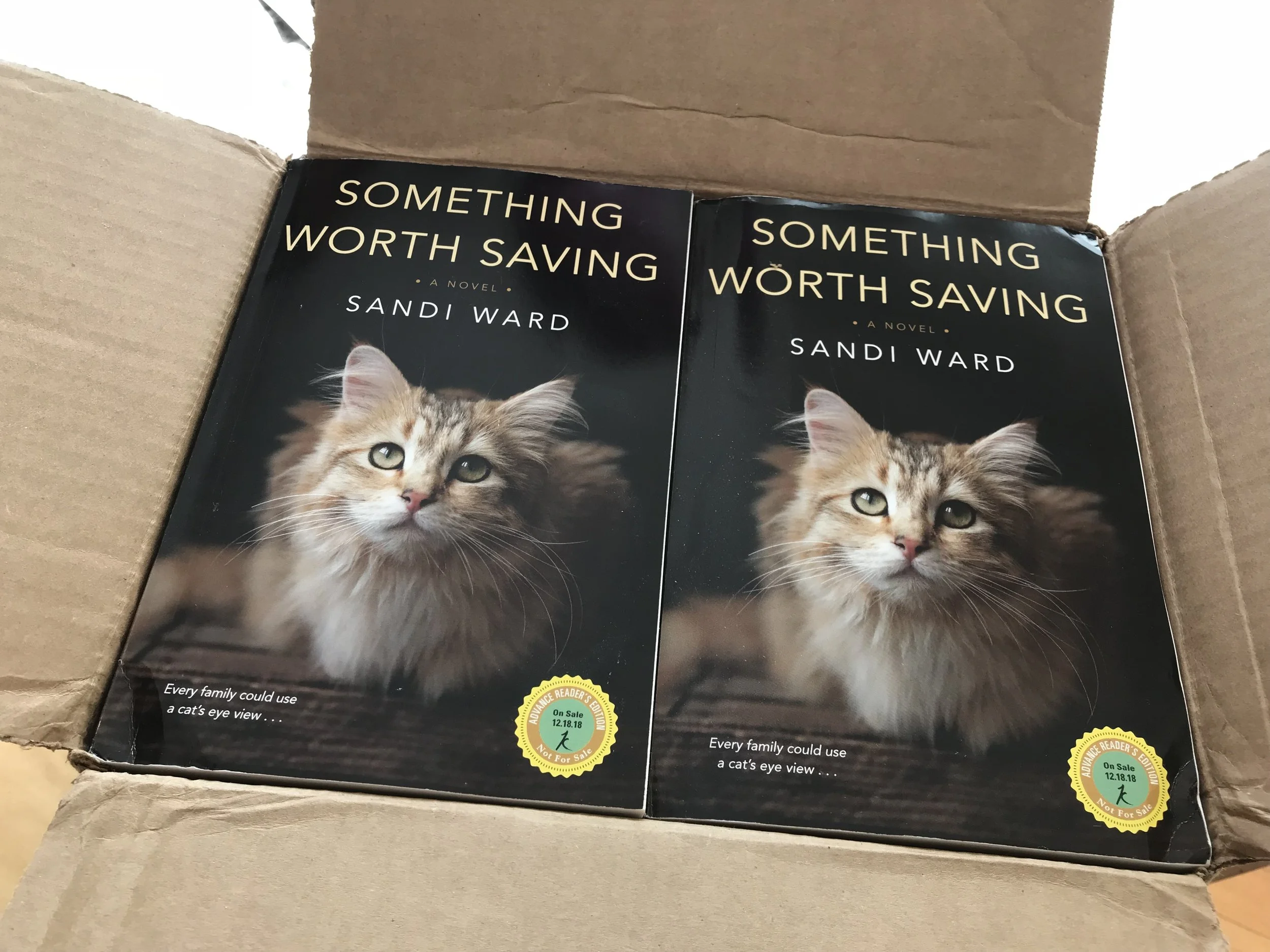 June Early Look at Something Worth Saving