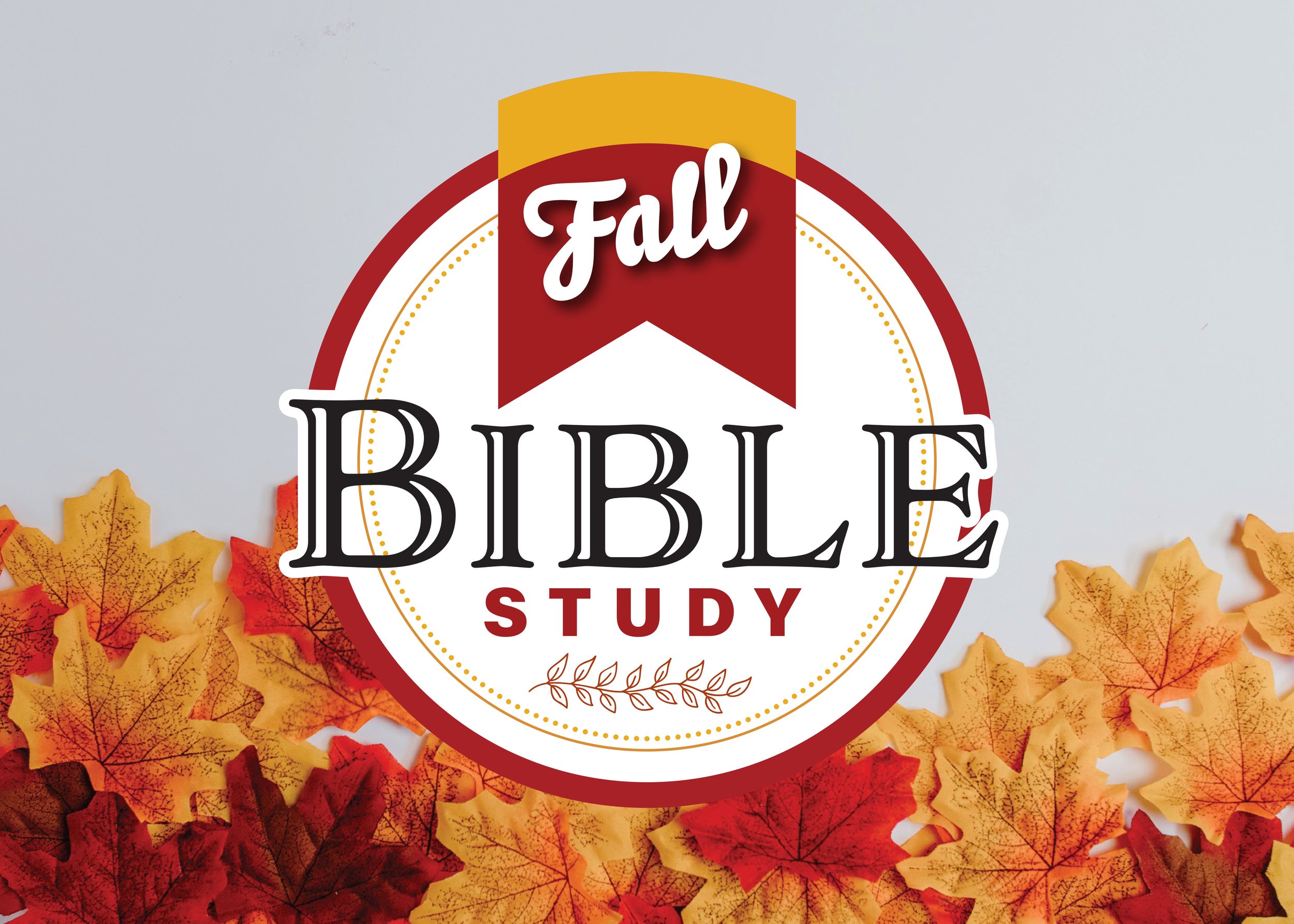leaves_28865ac.jpg