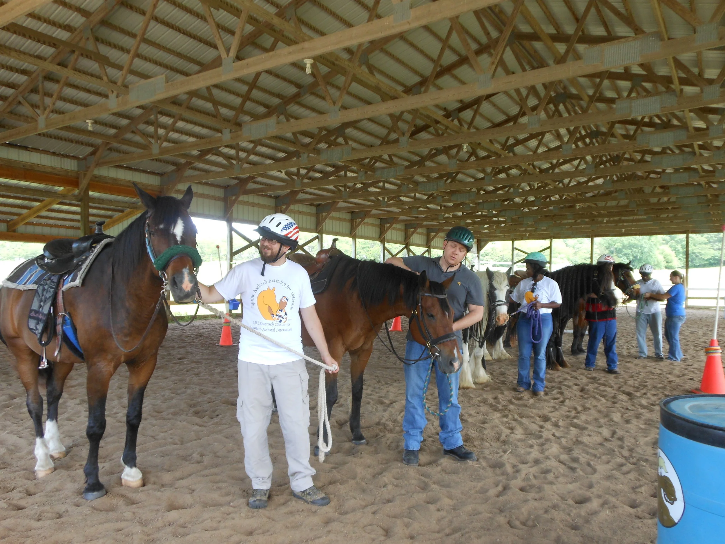 Effects of Equine-Assisted Activities on PTSD Symptoms