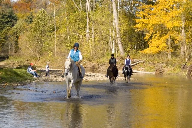 $100,000 campaign to support EAA research has been completed!