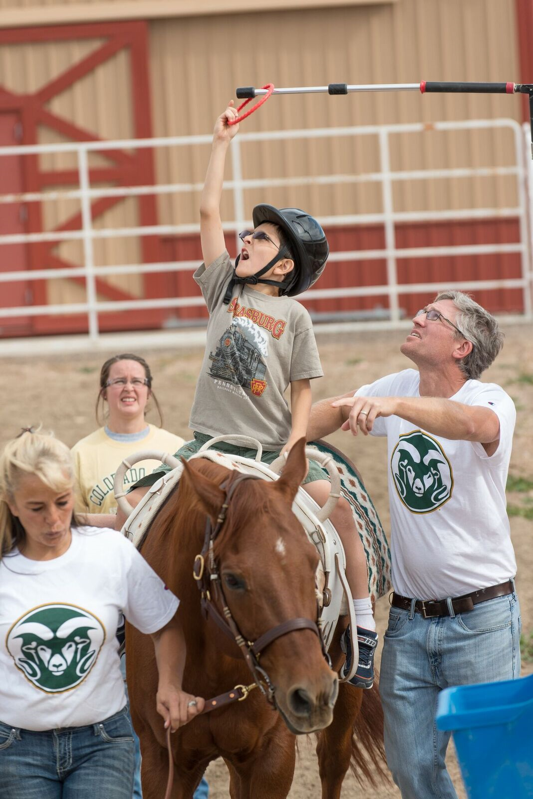 Image courtesy Temple Grandin Equine Center