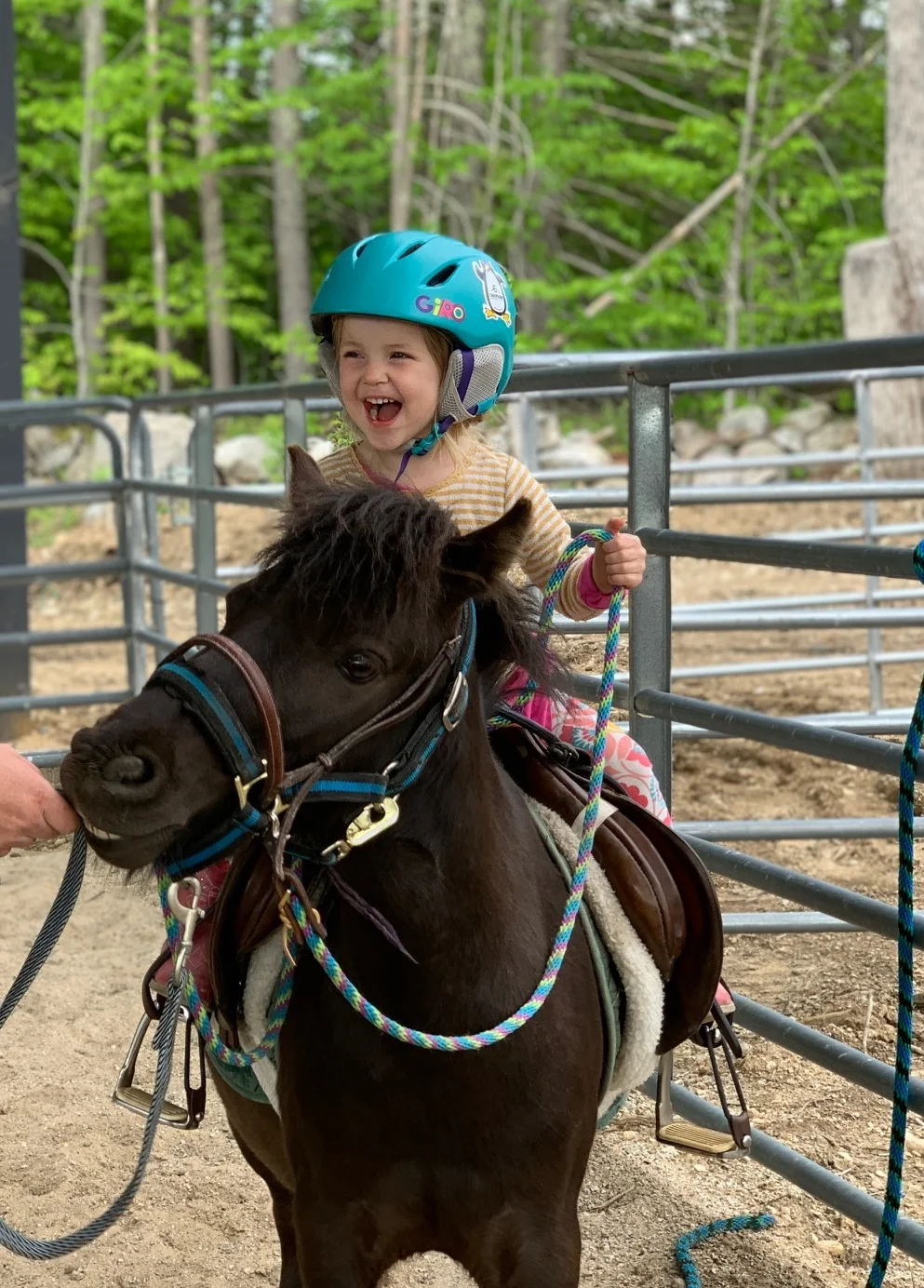 $50,000 Available to Researchers Investigating the Therapeutic Effects of Horses on Humans