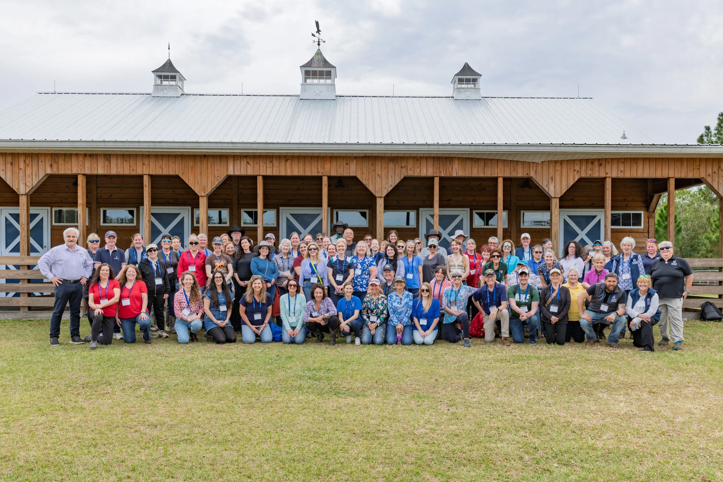 Horse Fair Group shot.jpg