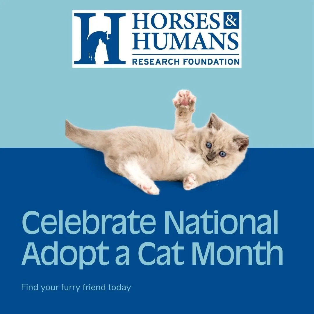 National Adopt a Cat Month