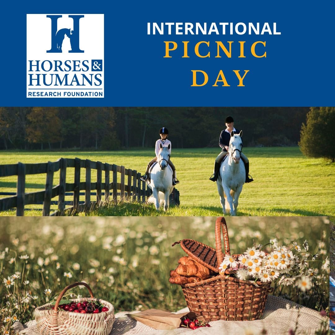 International Picnic day