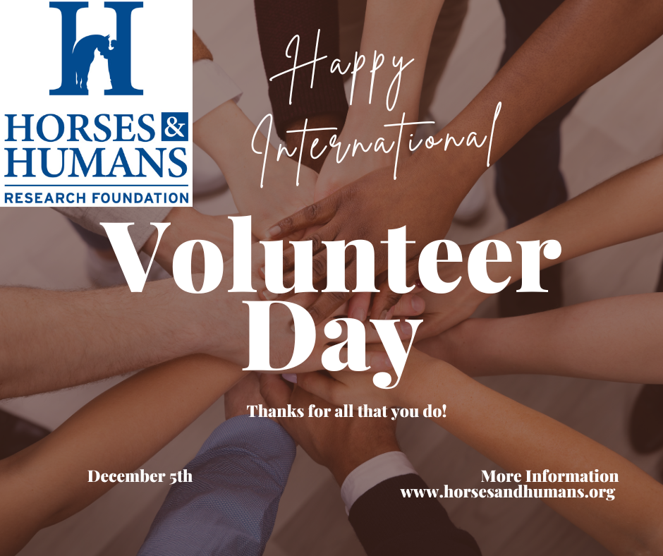 International Volunteer Day