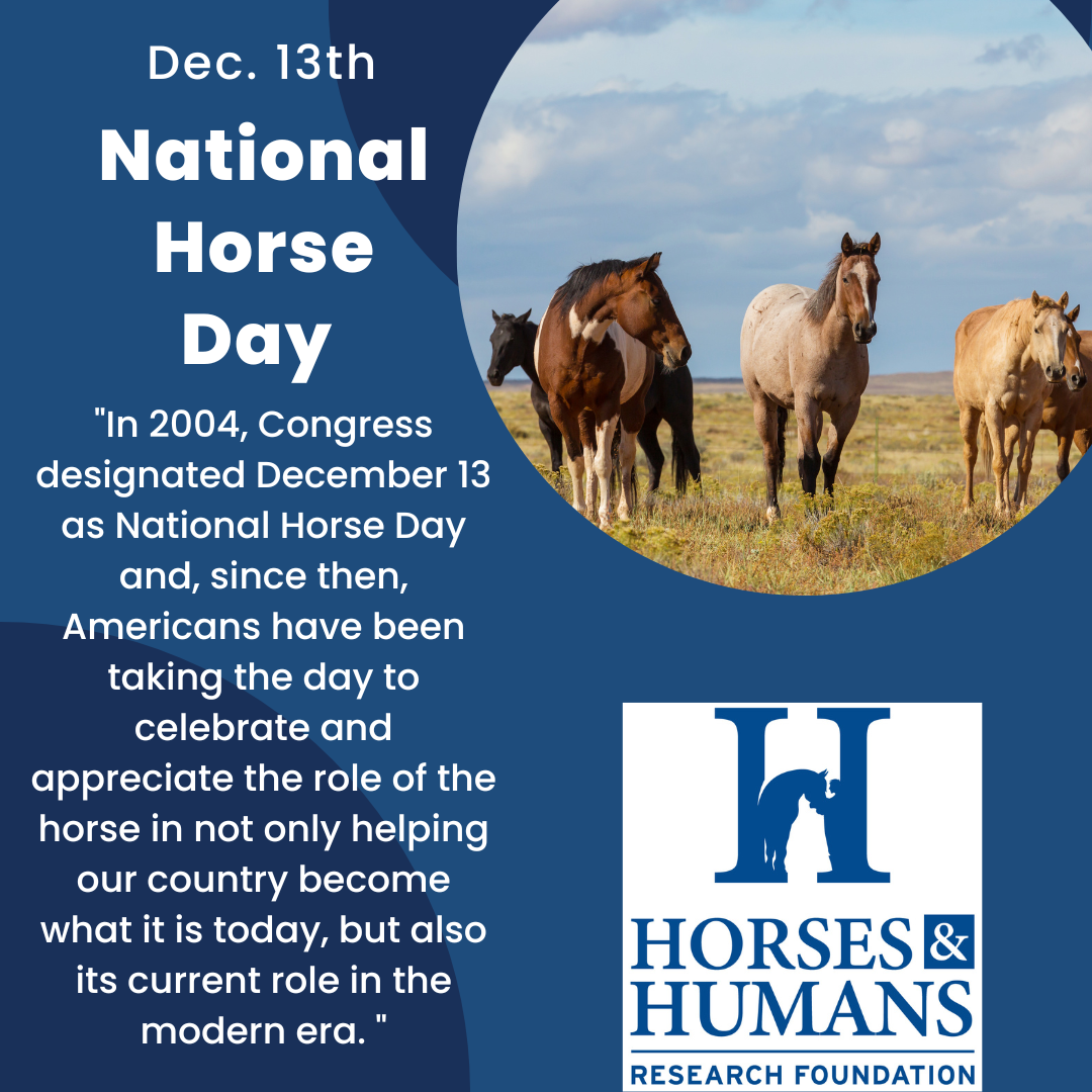 National Horse Day