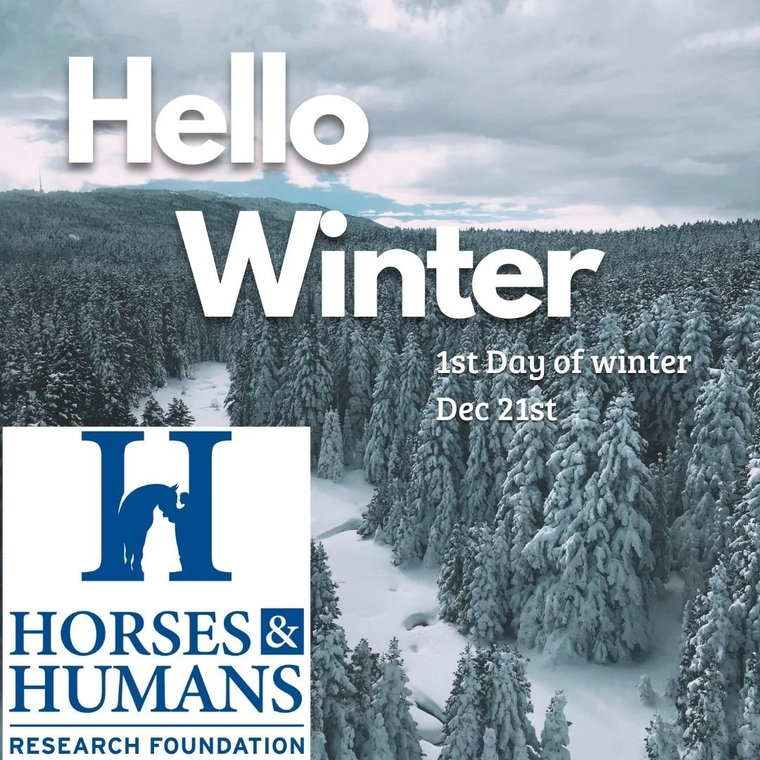 Hello Winter!