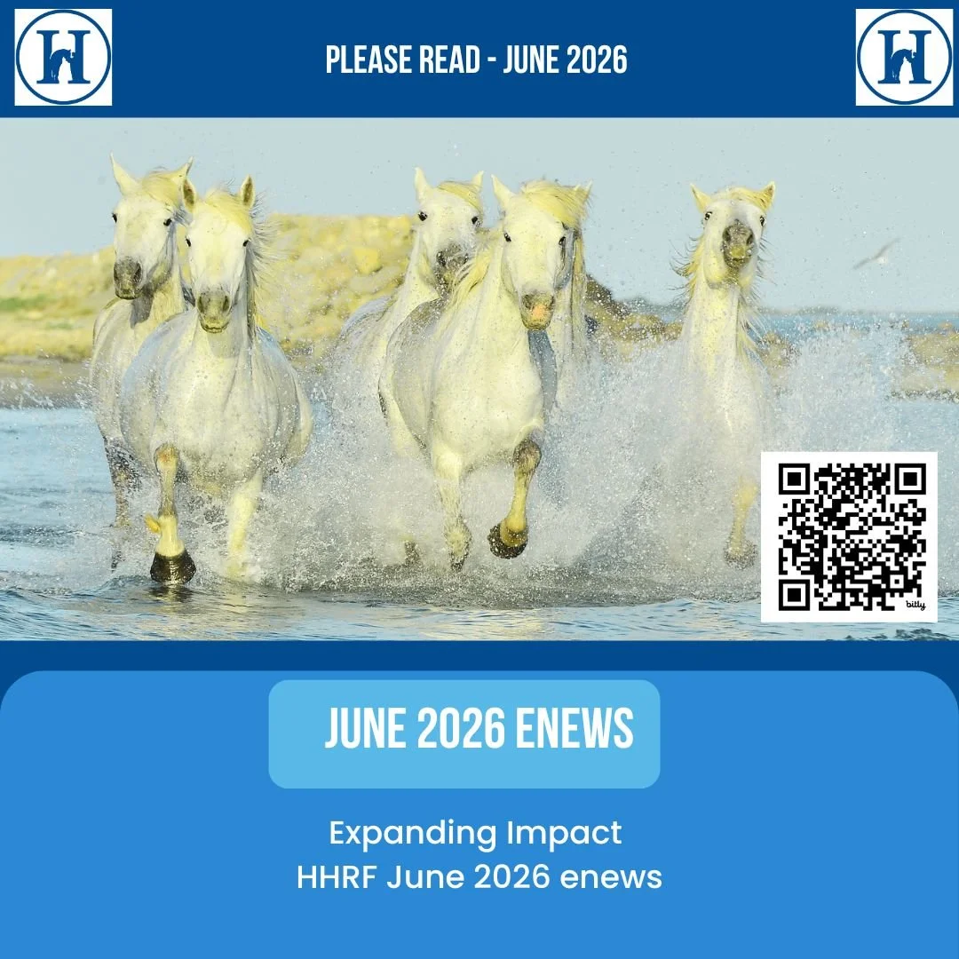 June eNews
