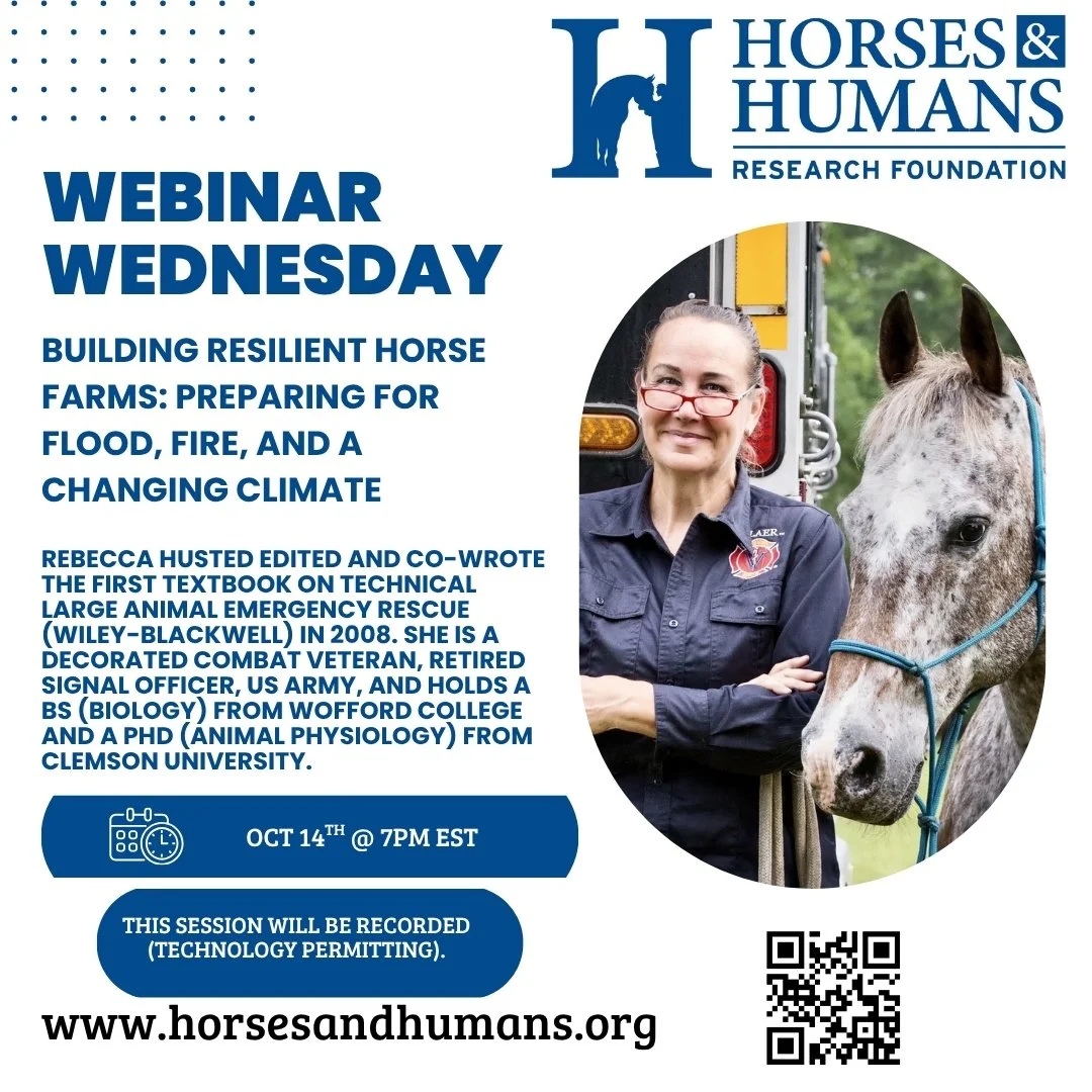 Wednesday Webinar