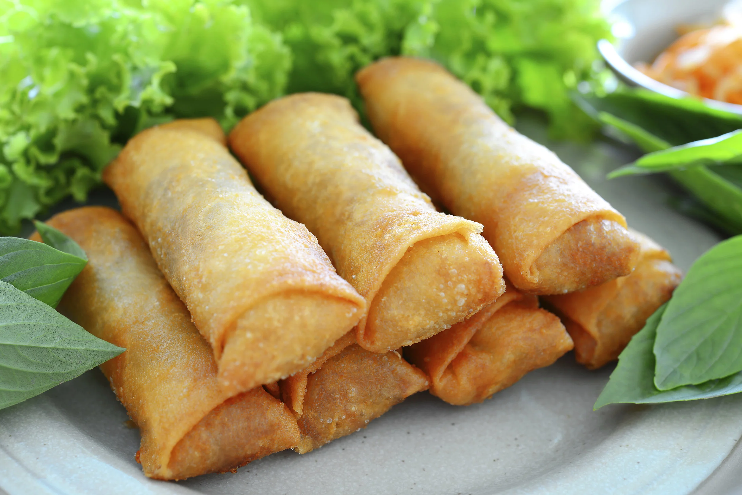 Spring-Rolls_165.jpg