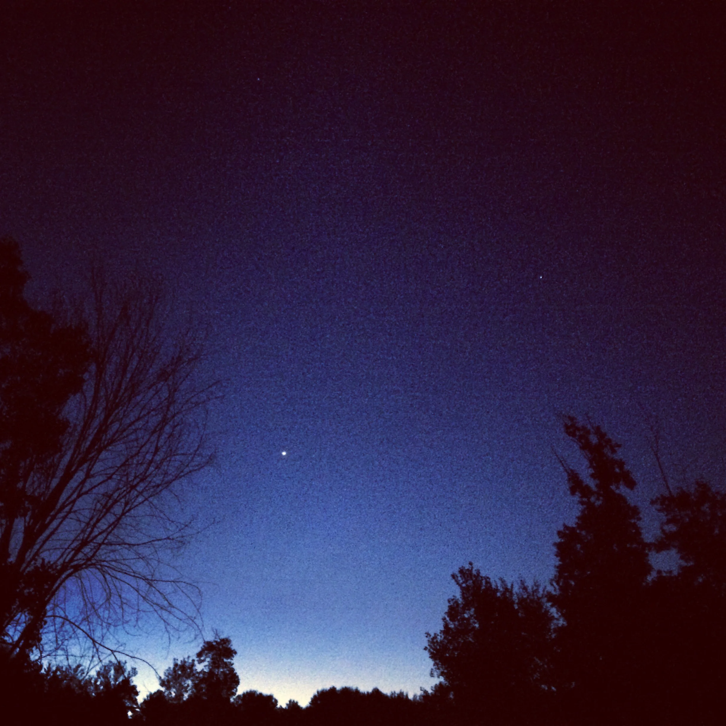 December: Birth and Loss 