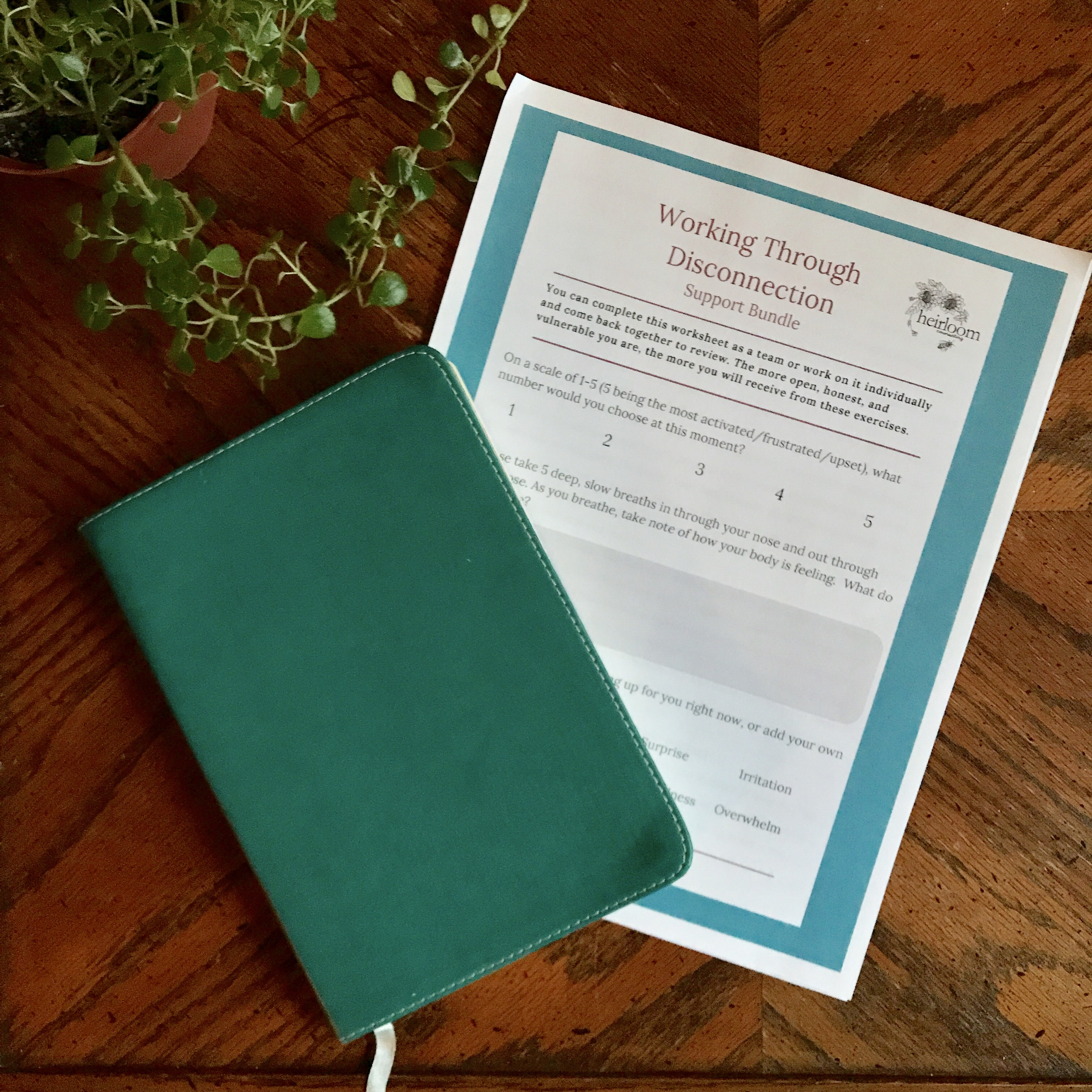 Working Through Disconnection Support Bundle