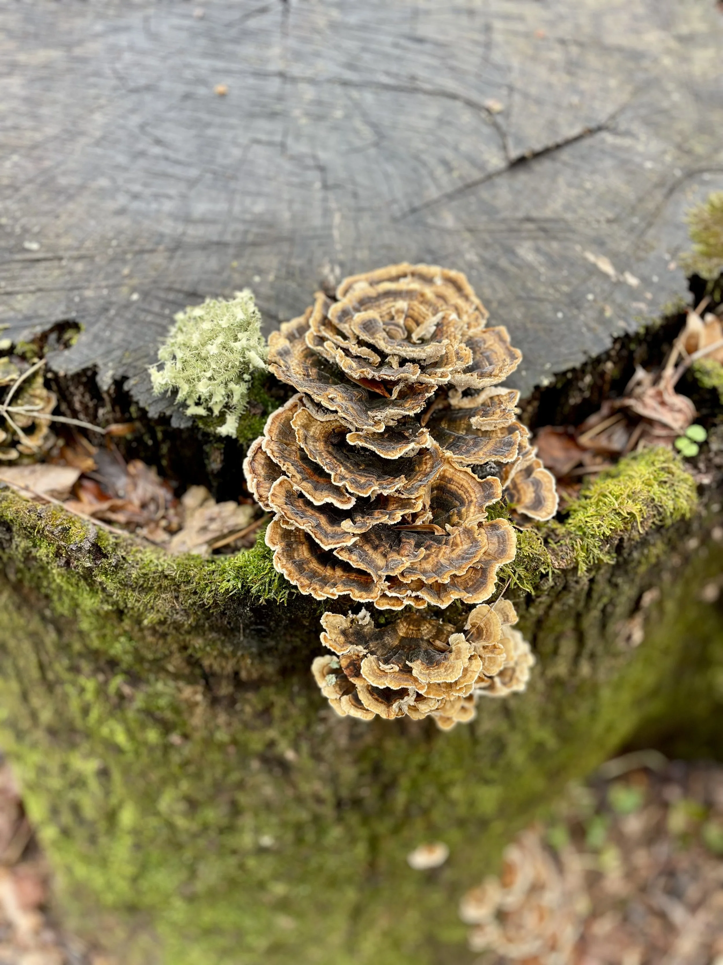 Micro Changes and Commitments!