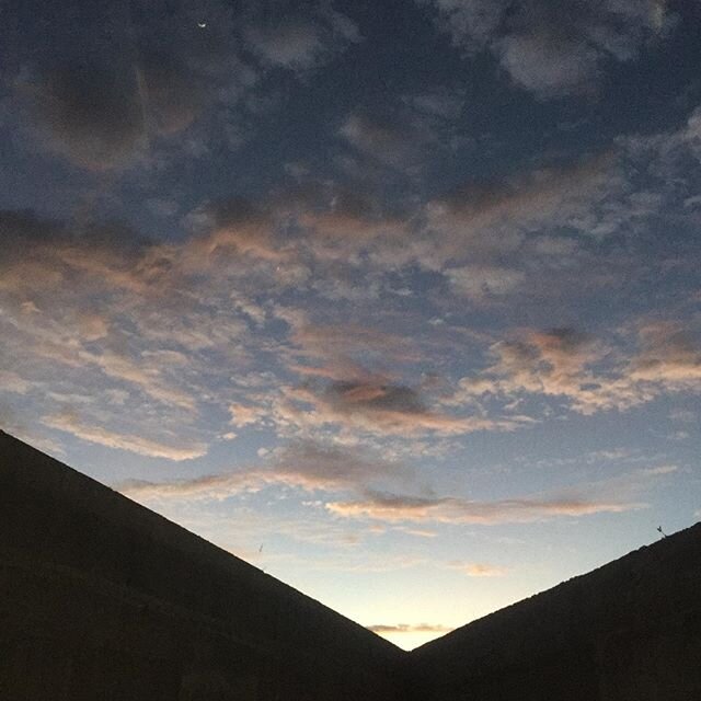 looking up ...⬆️ ⛅️ #quarantinedays #peacefulplace #nature #baja #mexico