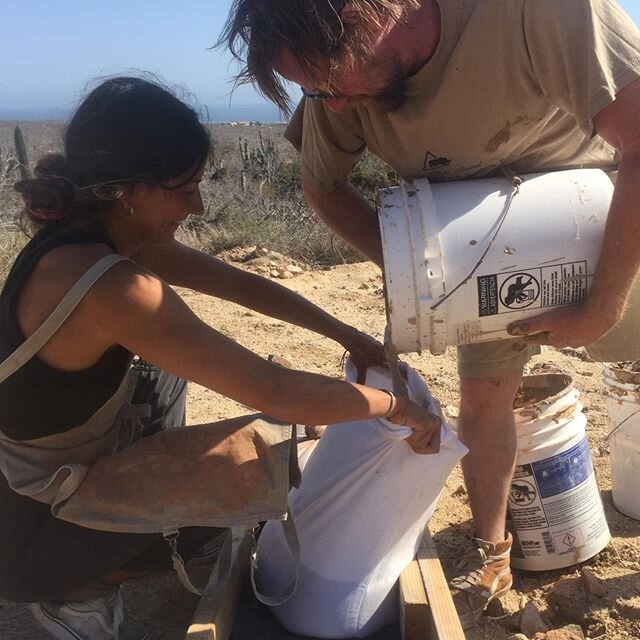 El Retorno del Stevo! Most excellent to have @ceramicasrj back at @tallerdeterreno to assist (read: produce!) yet another dance with the multi-fuel kiln 🔥✨🧘🏽&zwj;♂️⚱️🌊✨ And this month we have a very special Visiting Artist from Mexico City, @bruj
