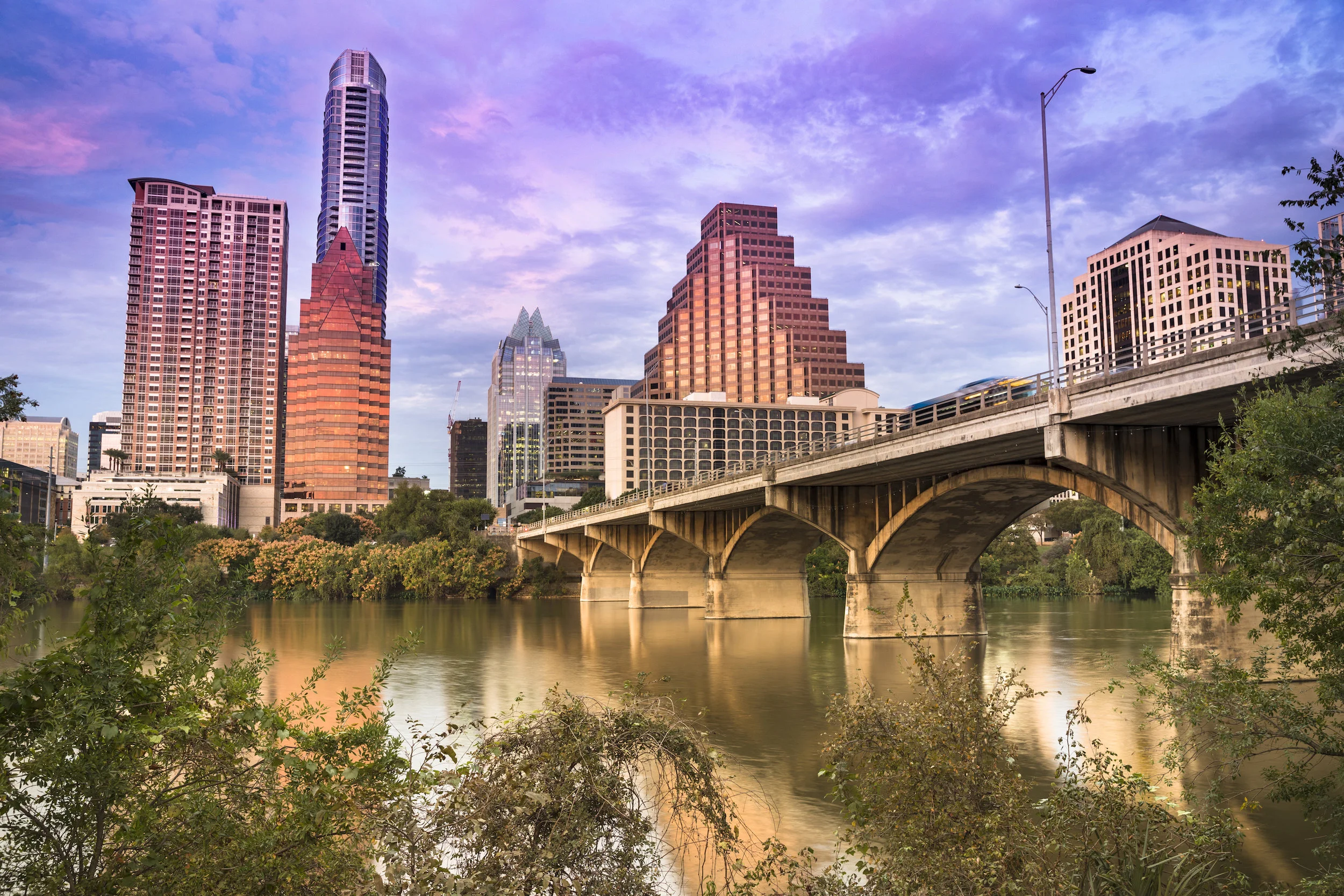 sheshe media austin_Suzanne Erickson.jpeg