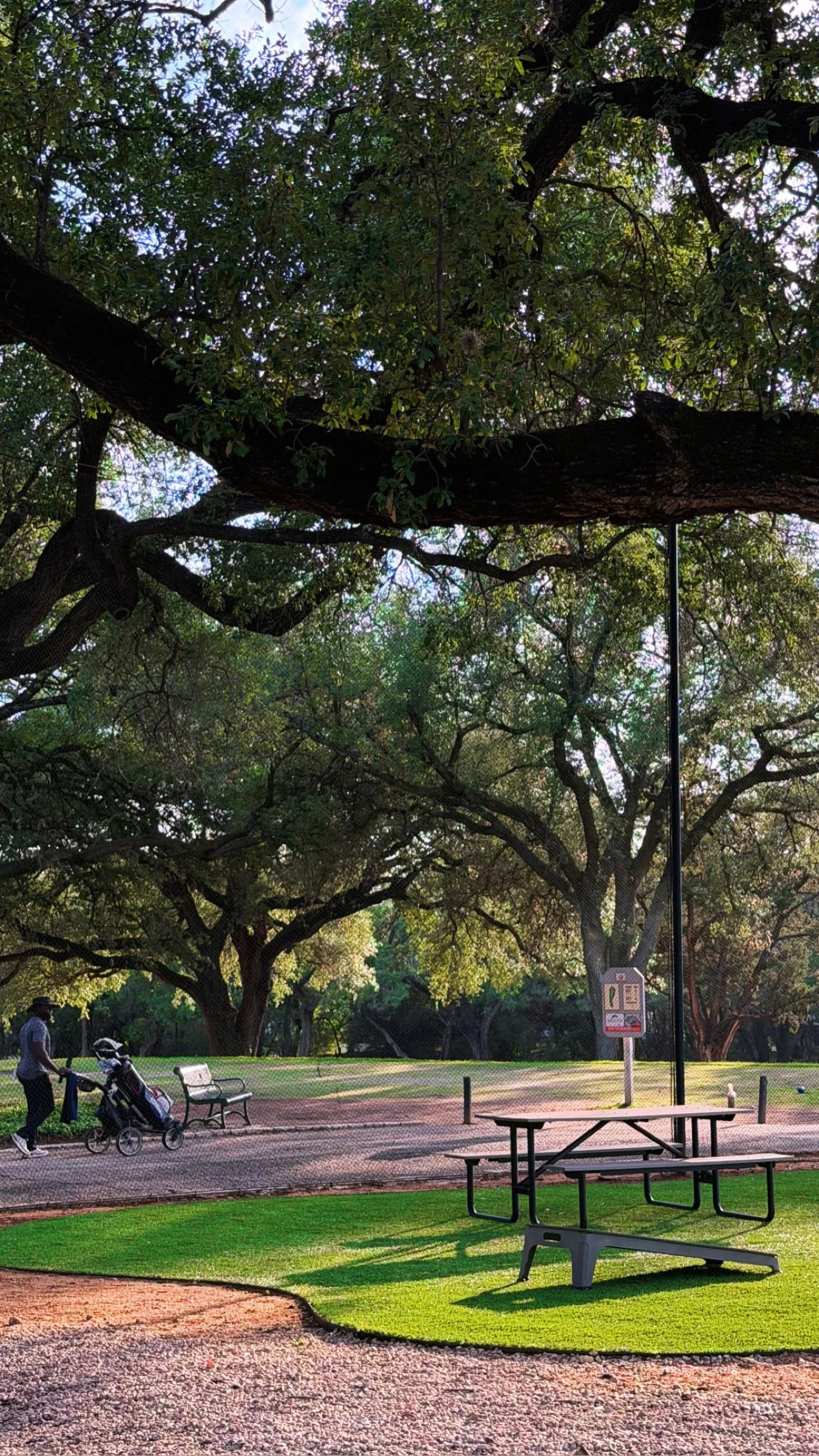 Sunny Day