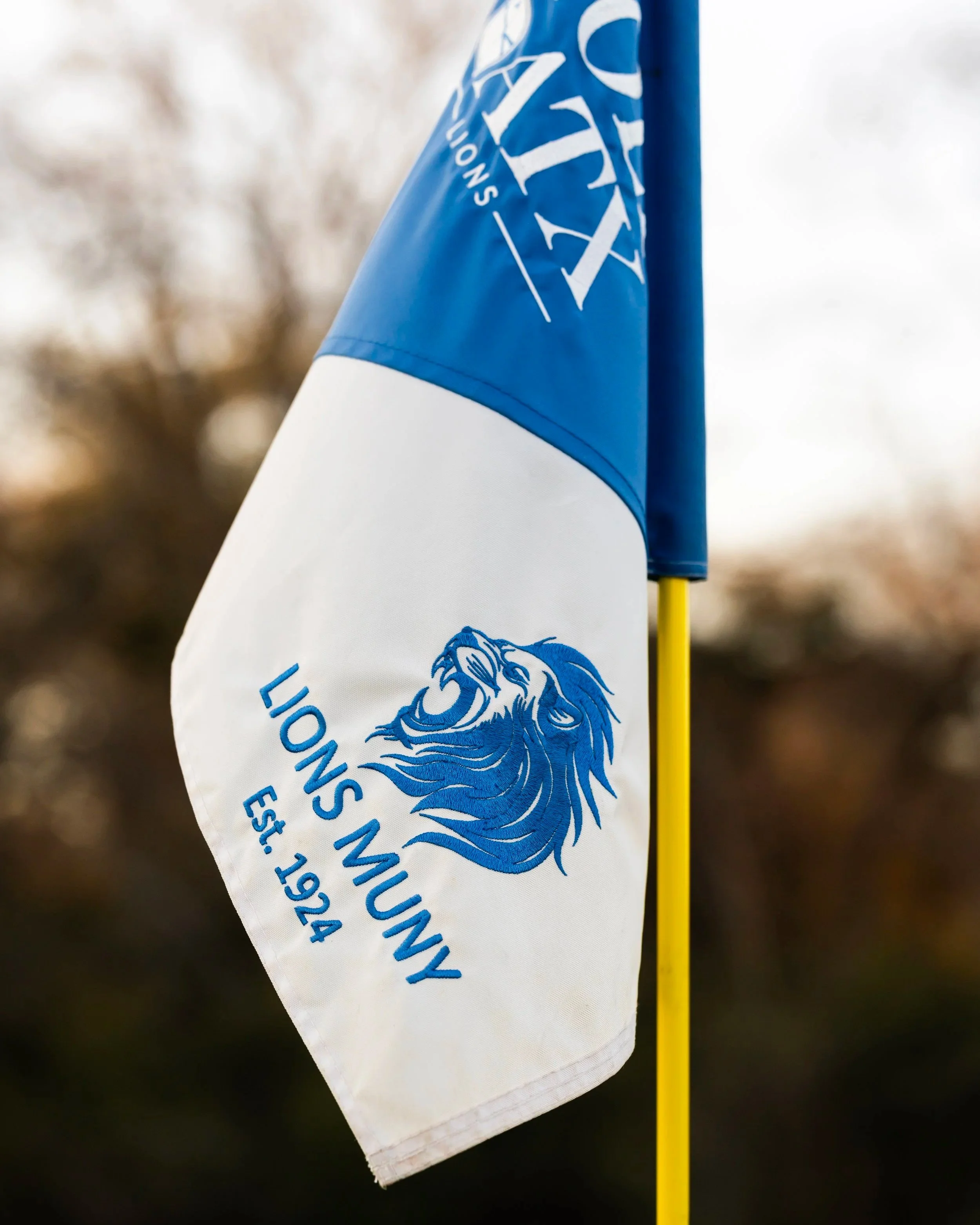 Flags/Lion