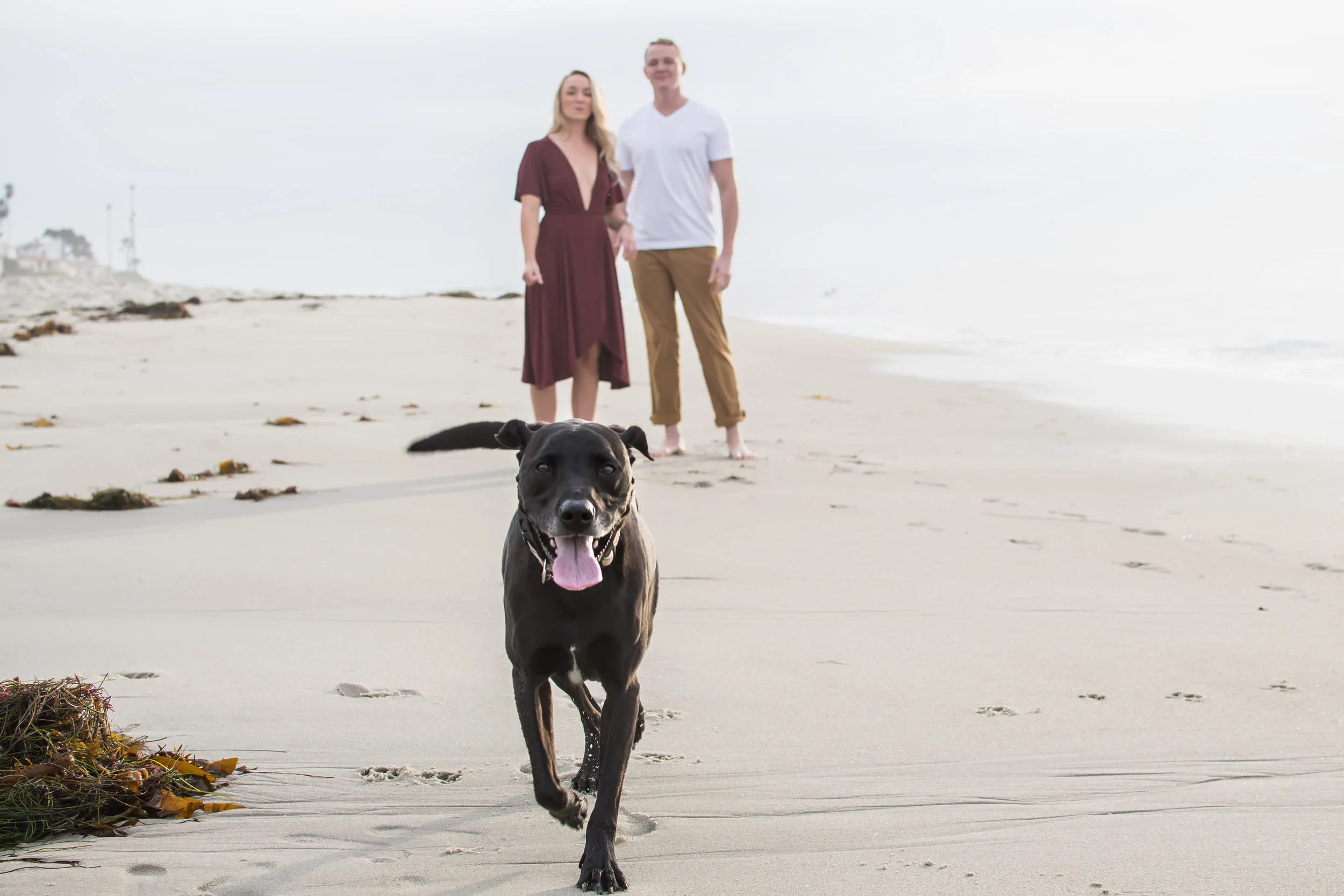 Maddy and Pat-84.jpg