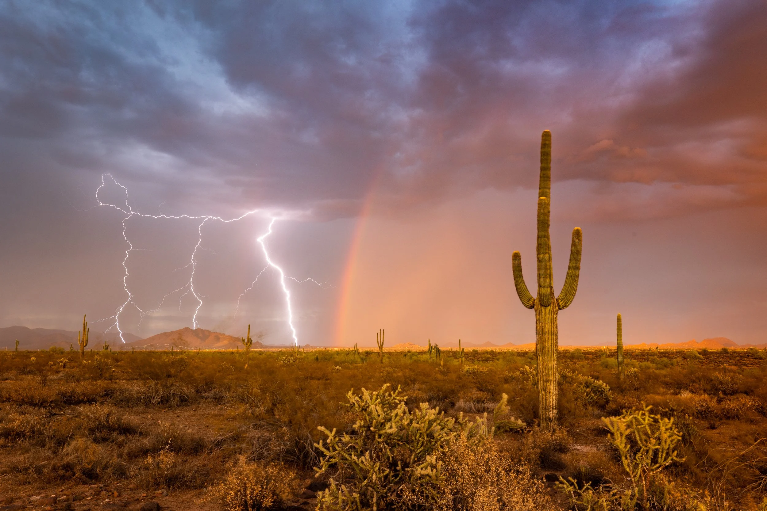 Elements of the Desert, Carefree, AZ