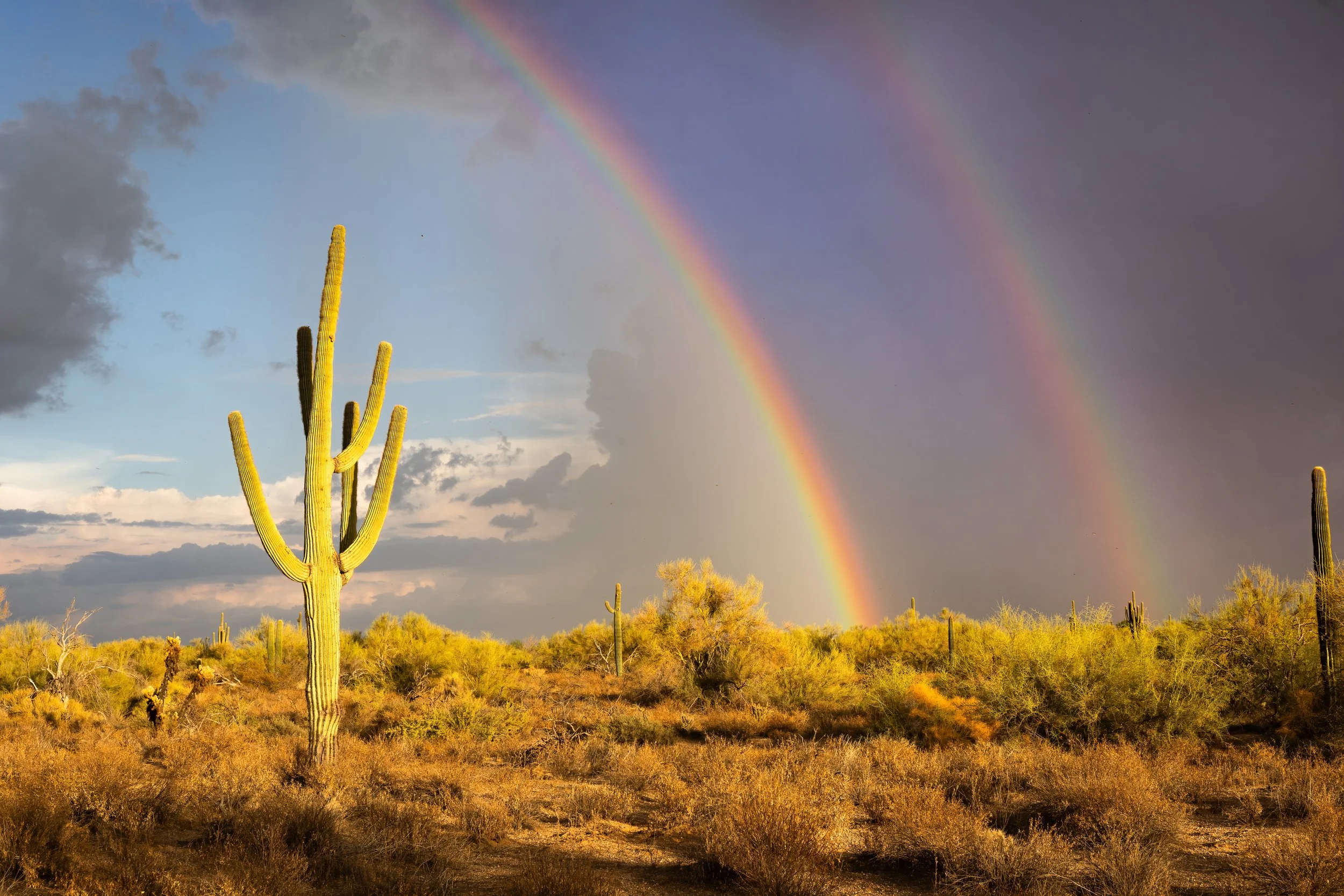 Under the Double Rainbow, Cave Creek, AZ
