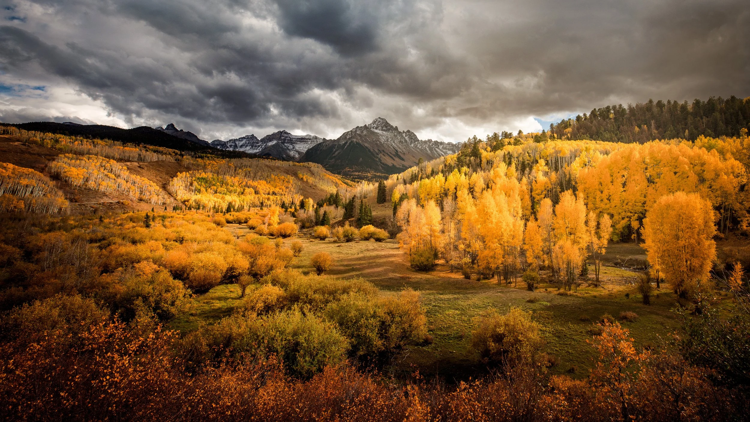 Mt. Sneffels and the Golden Blanket, Ridgway, CO