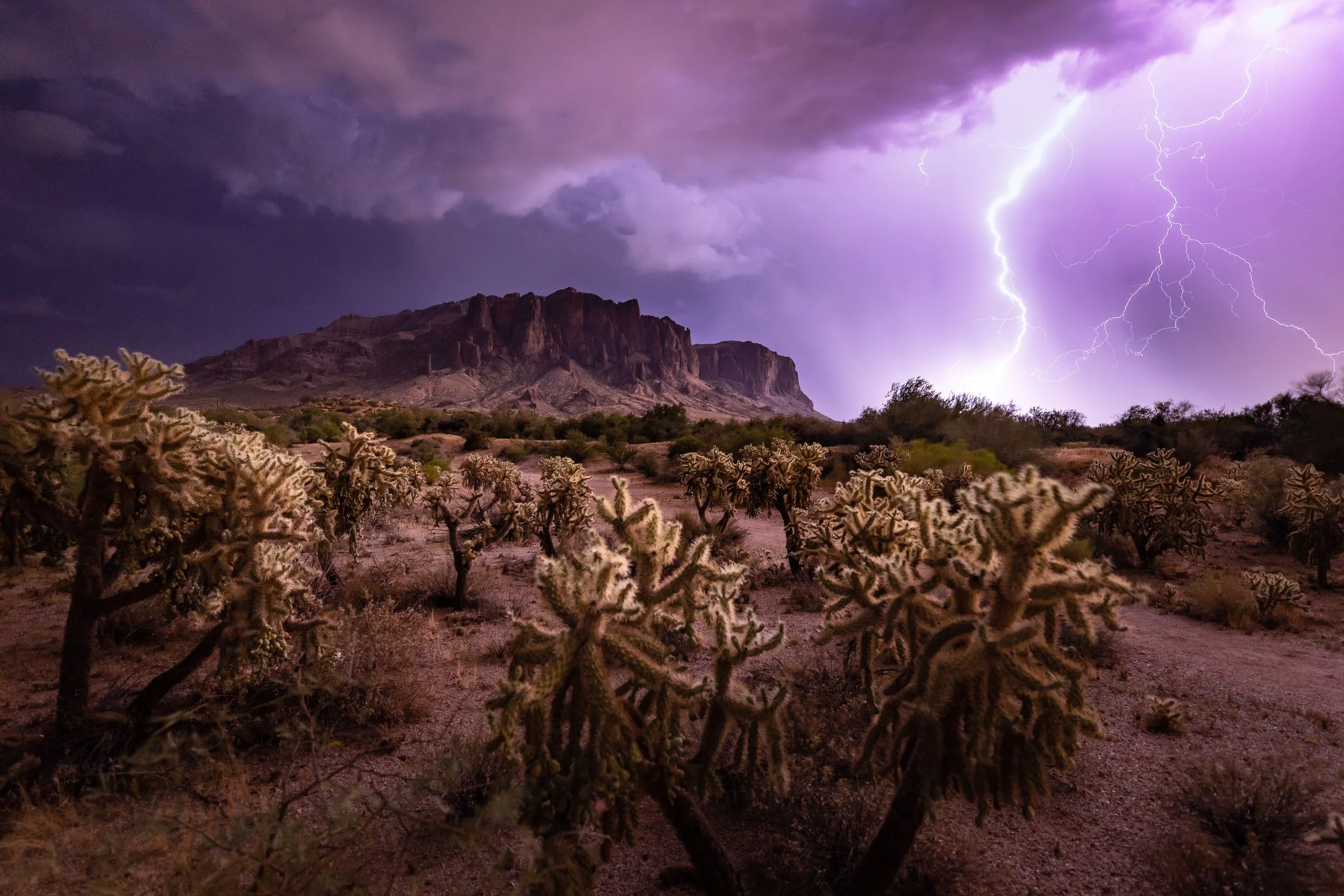 The Cholla Garden Strike, Superstition Wilderness, AZ