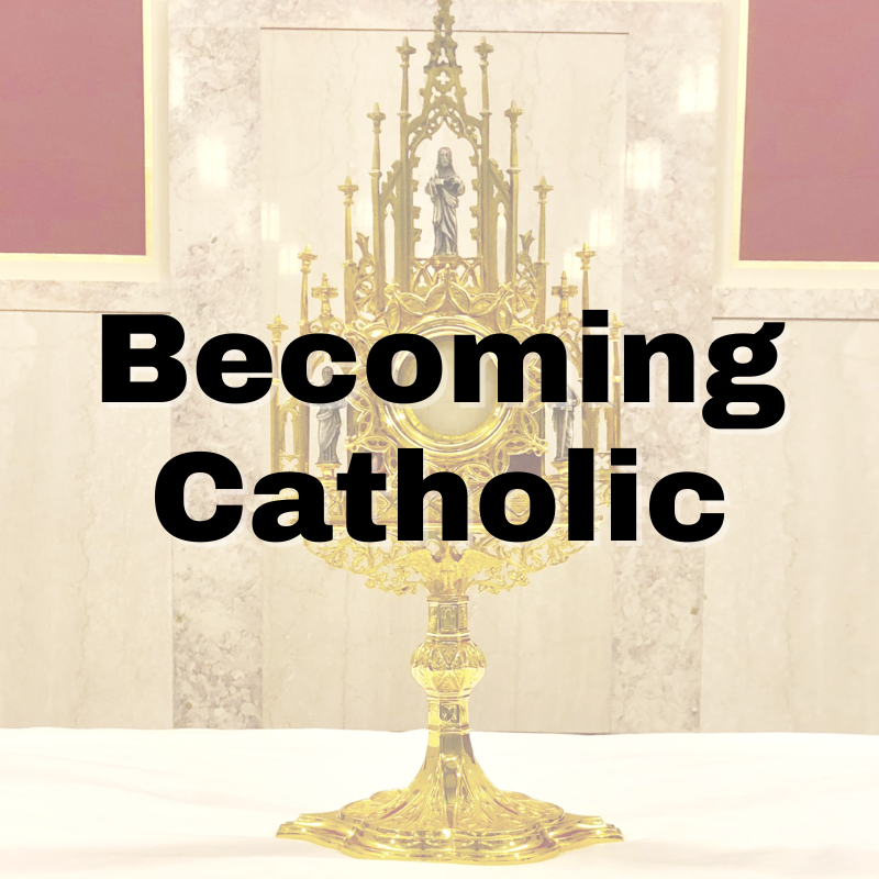 Quo Vadis Gathering (6).png
