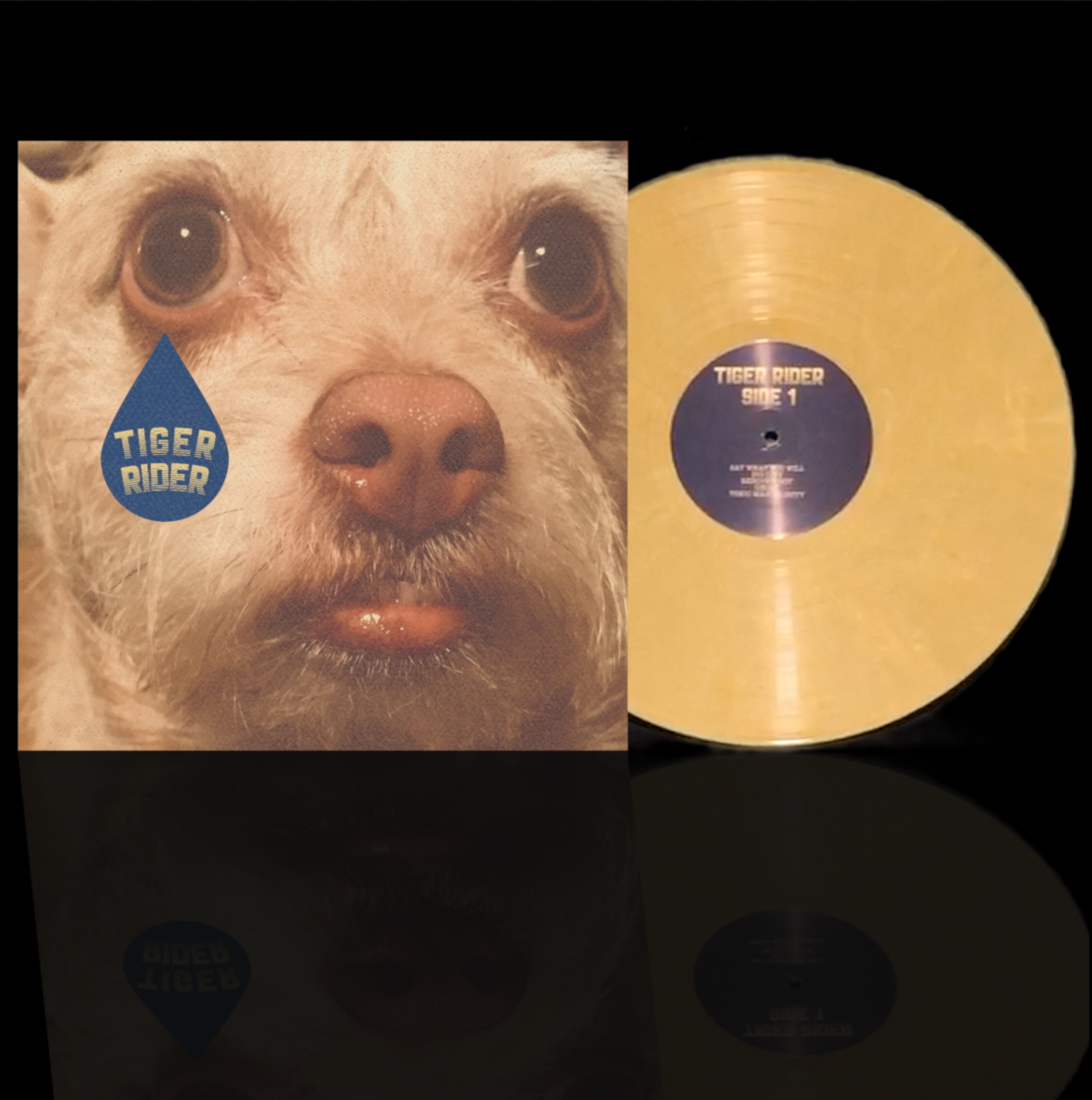 vinyl pic.png