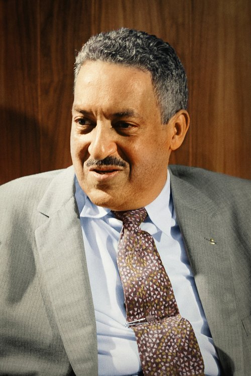 The Thurgood Marshall College Fund (TMCF) and McDonald Scholarship