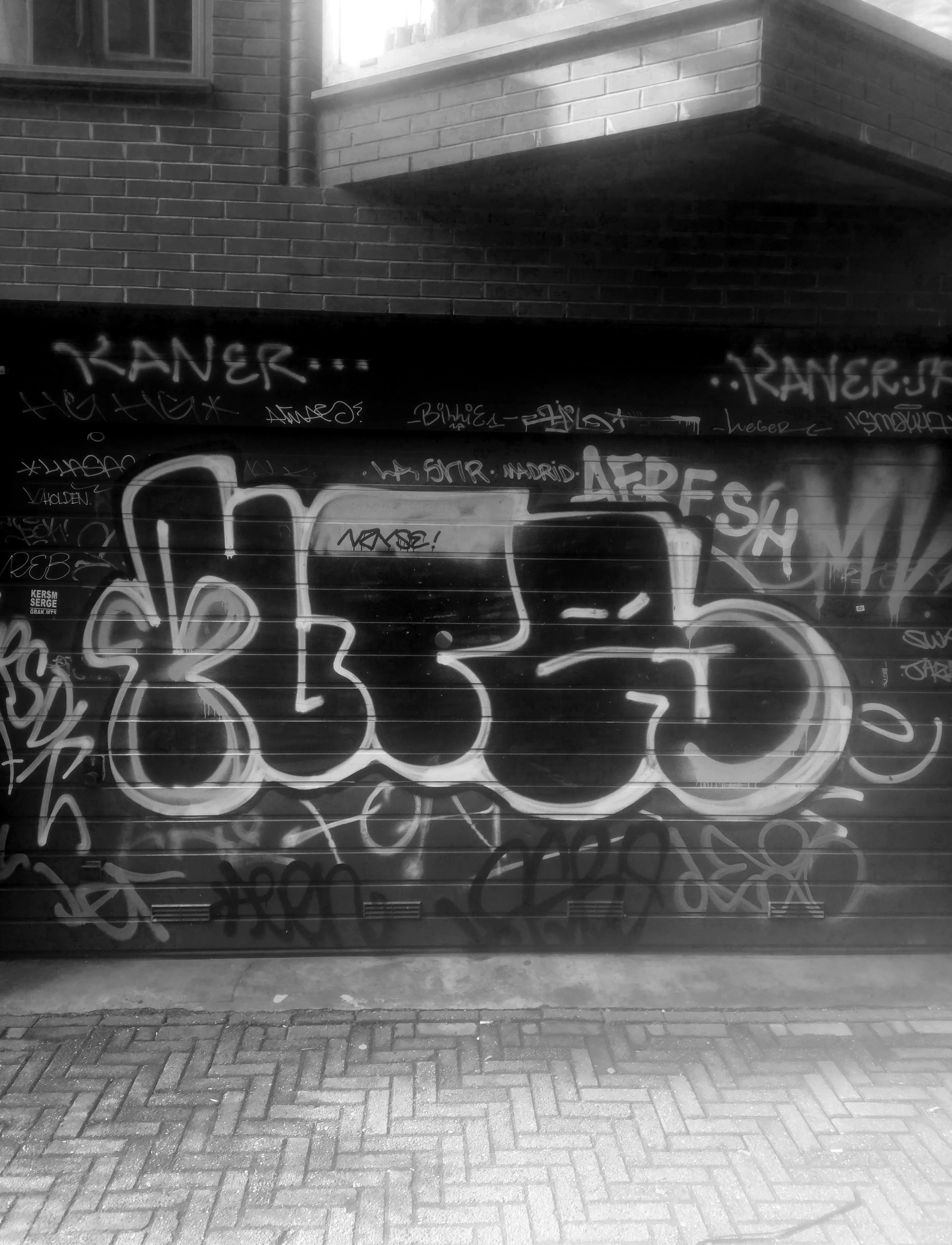 IMAG0276.jpg