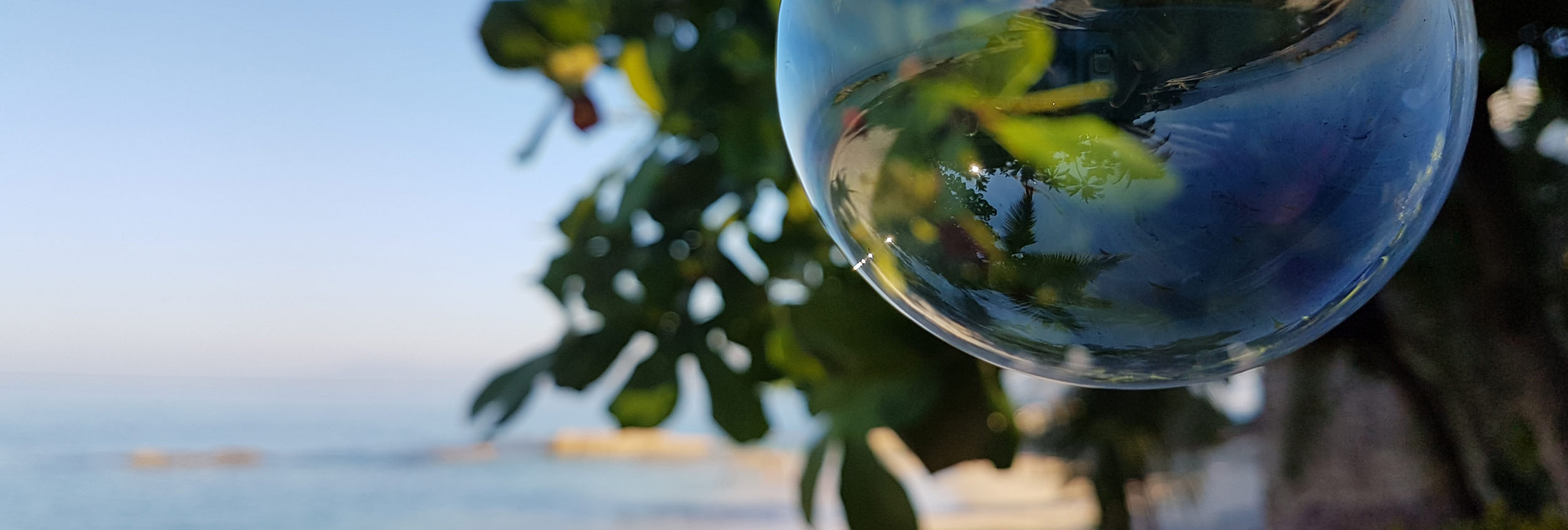 Header_Images_Bubble.jpg