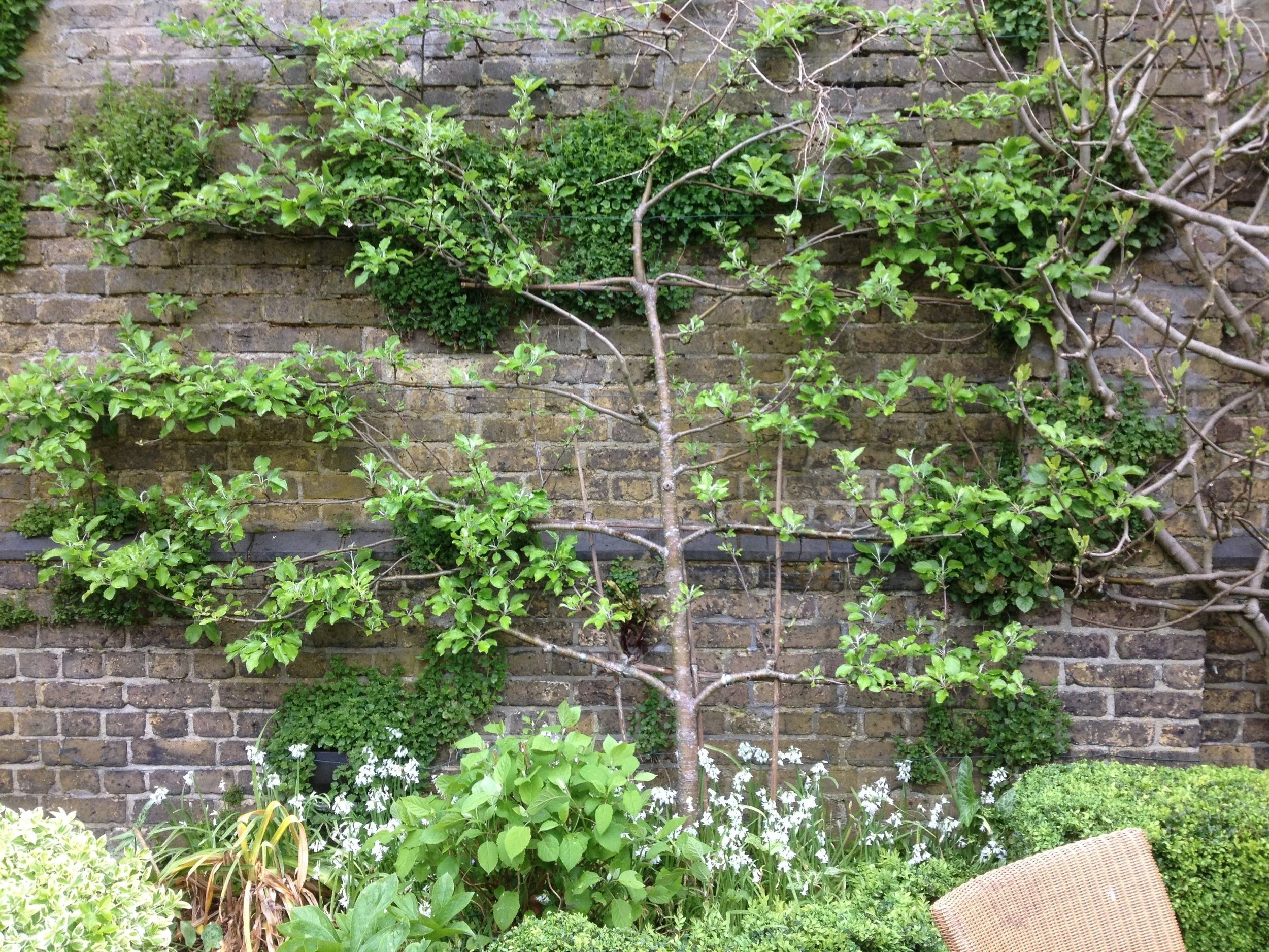 West-Hampstead-apple-compressor.jpg