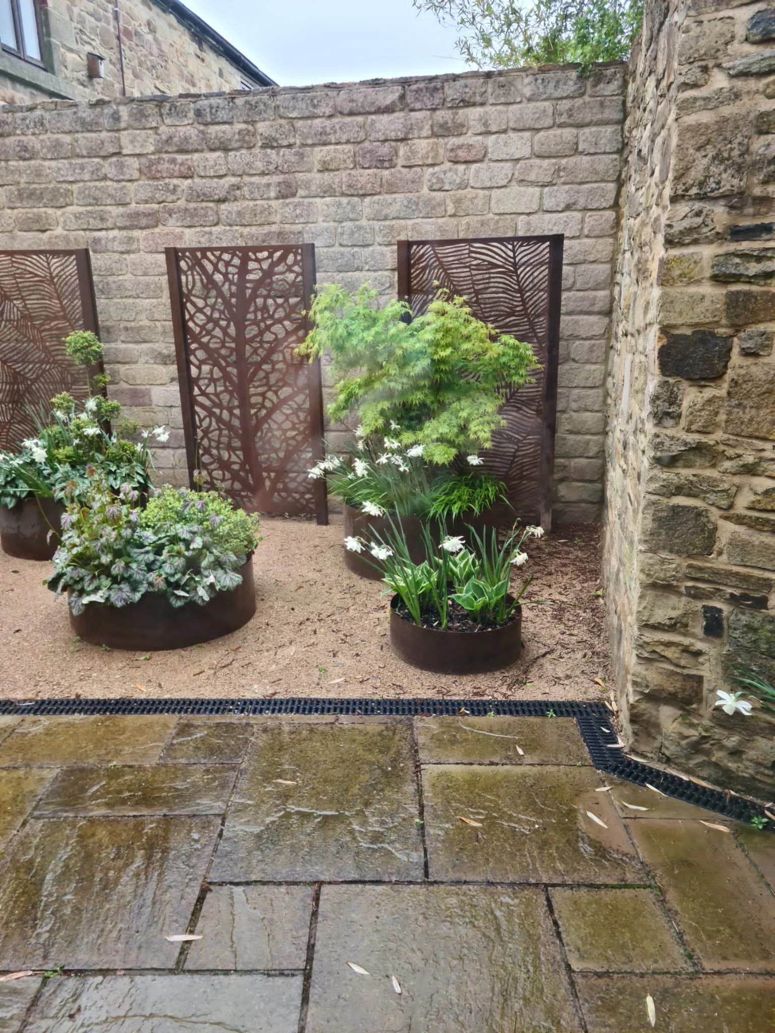 9b31ba33-f0bb-4bed-8eb2-58dcd3402382 2.JPG