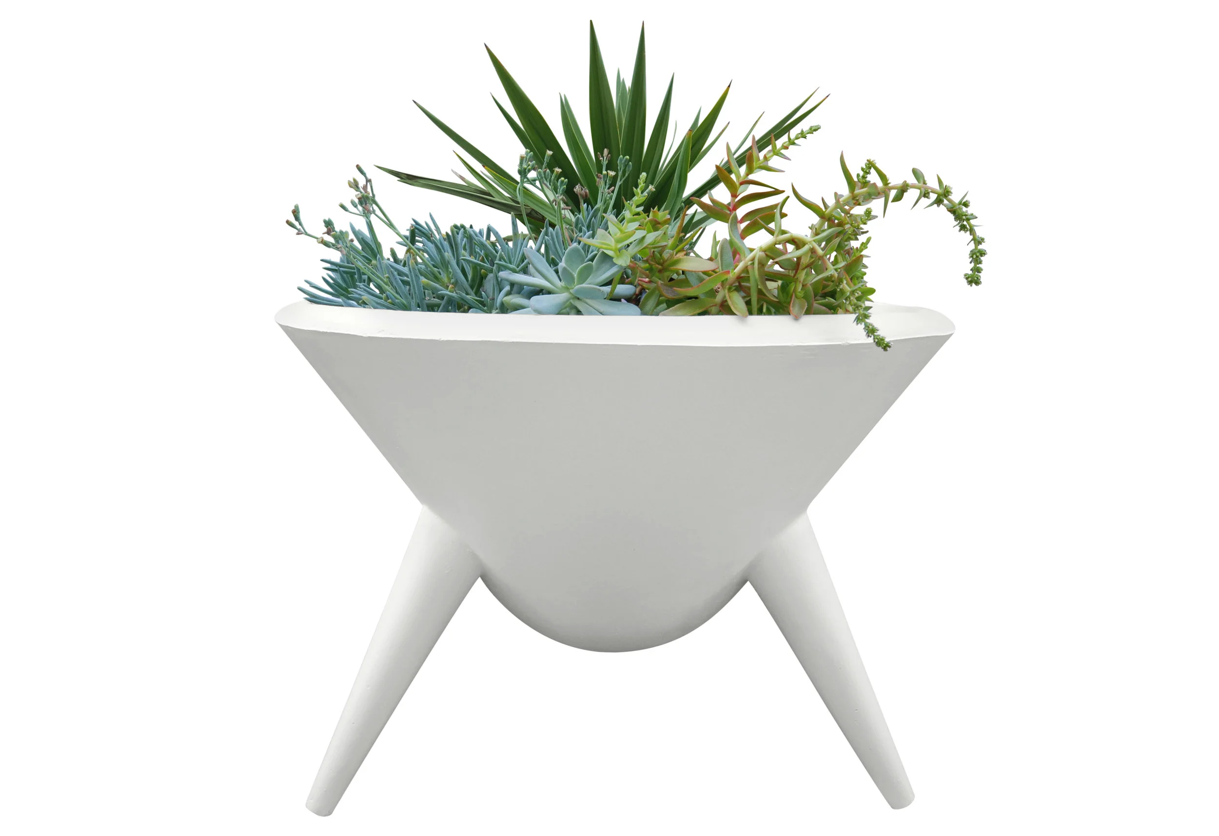 DSC_0416_Vivid White.jpeg