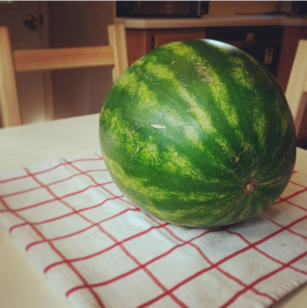 The wonderful watermelon .