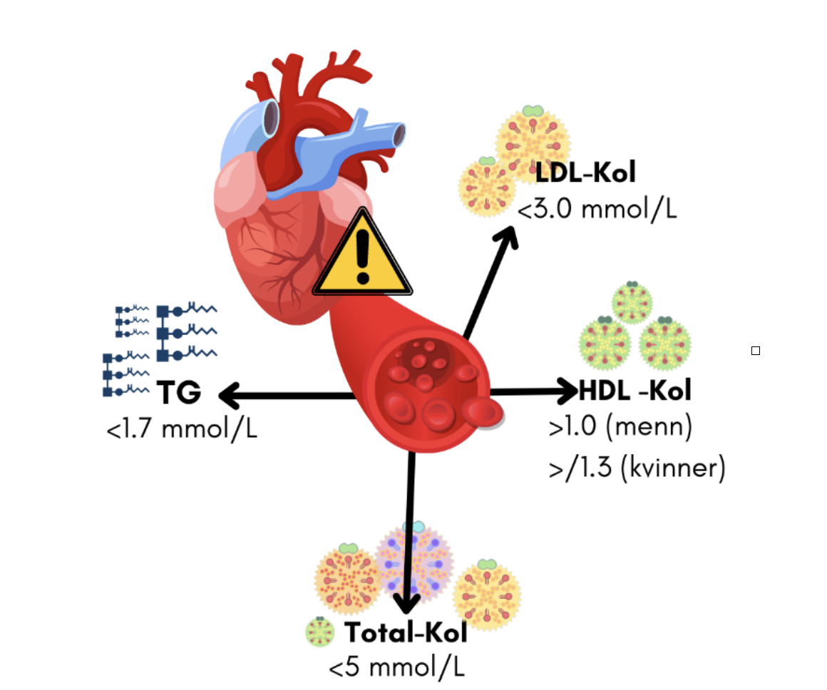 illustrasjon av referanseverdier for fett i blodet